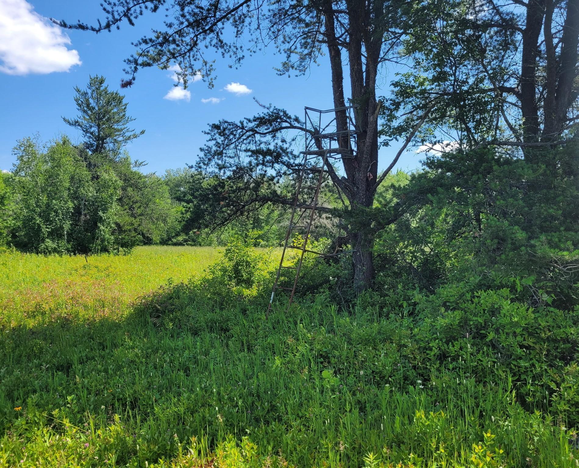 land for sale at TBD 150th in McGrath, MN (photo 25 of 28)