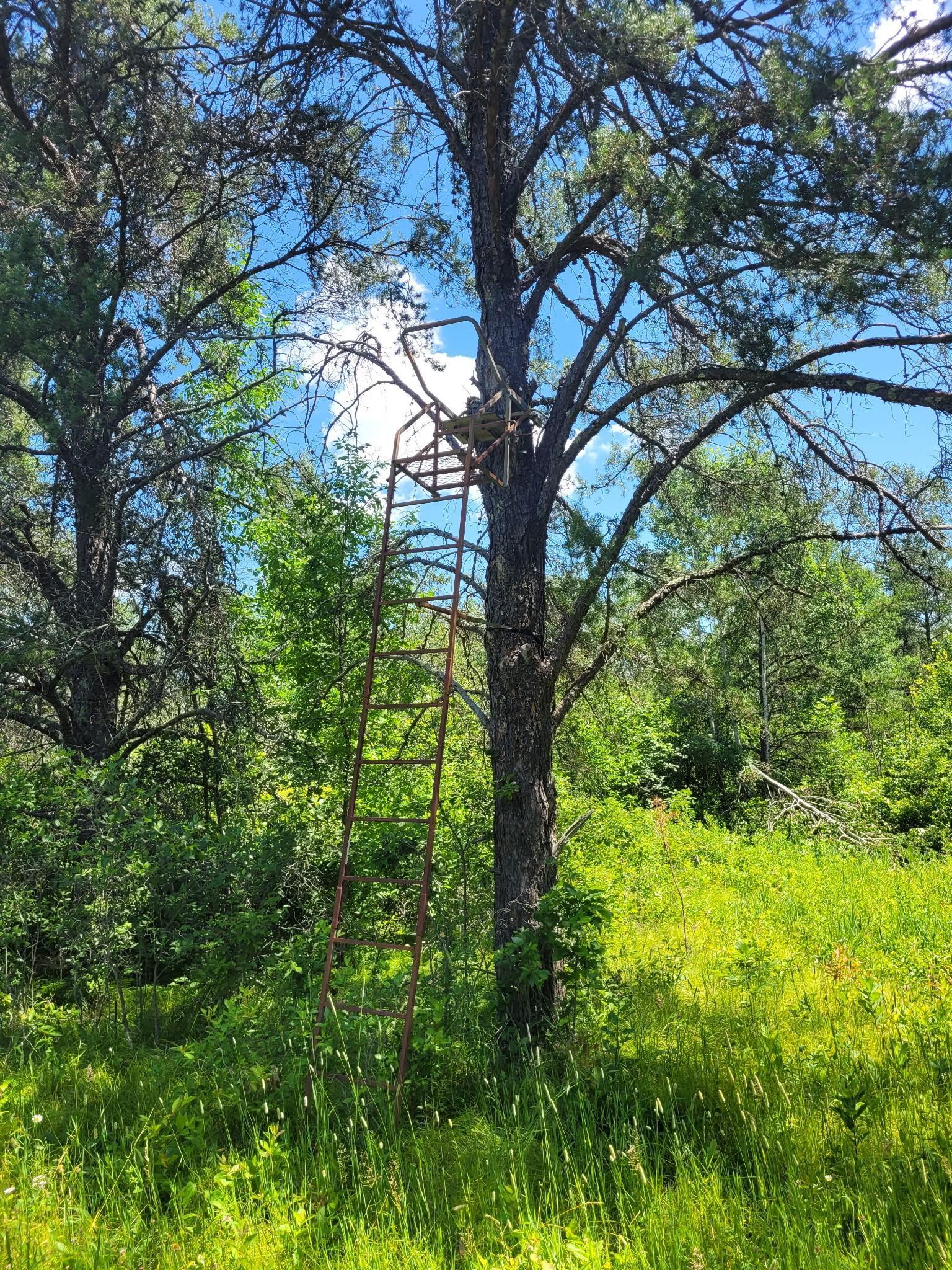 land for sale at TBD 150th in McGrath, MN (photo 26 of 28)
