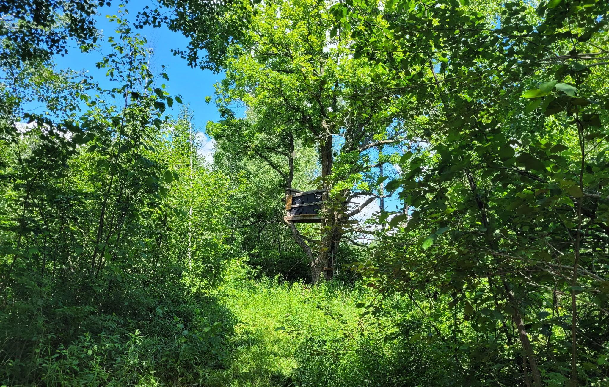 land for sale at TBD 150th in McGrath, MN (photo 27 of 28)