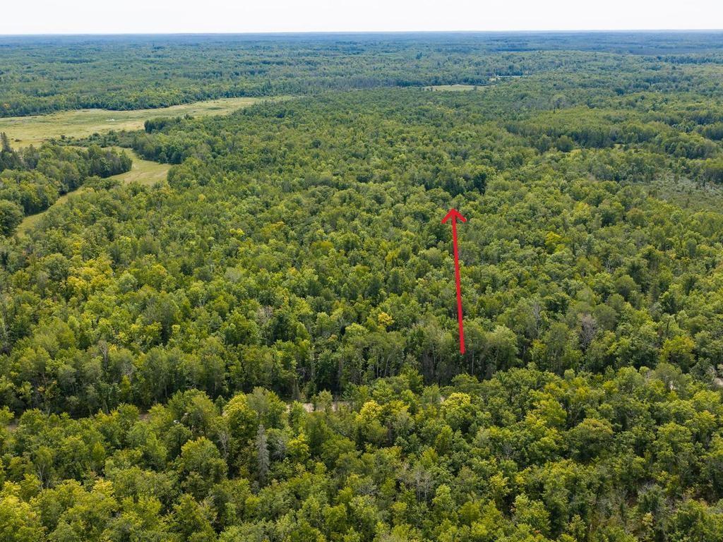 land for sale at TBD 150th in McGrath, MN (photo 5 of 28)