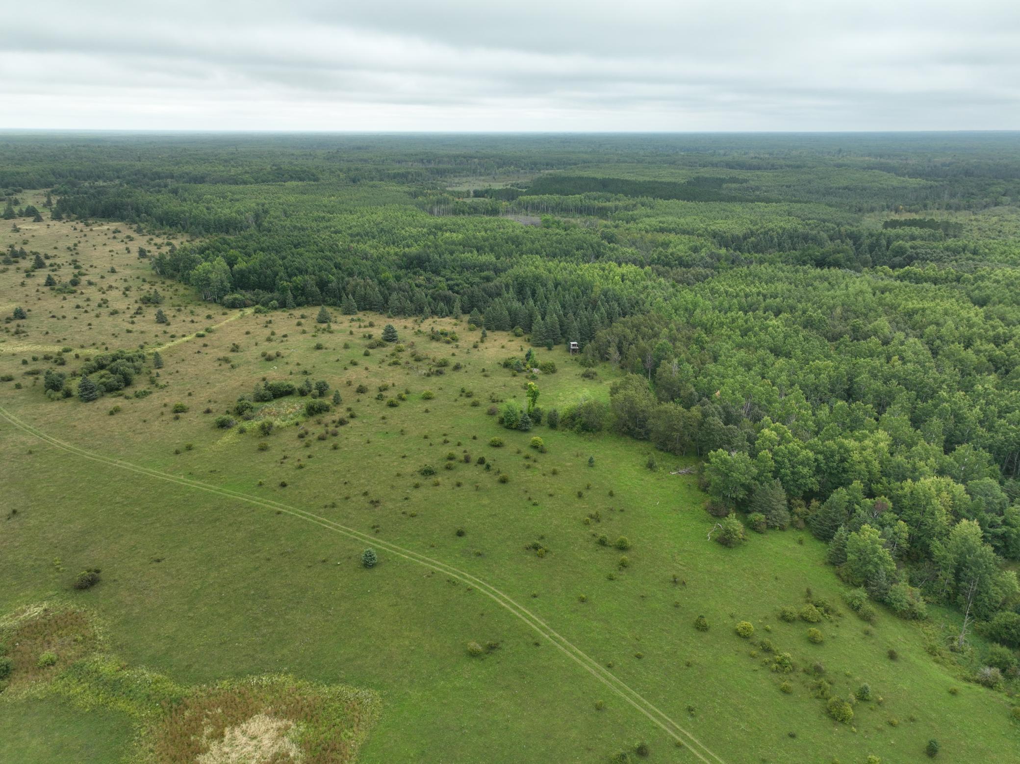 land for sale at TBD County Rd 31 in Northome, MN (photo 2 of 14)