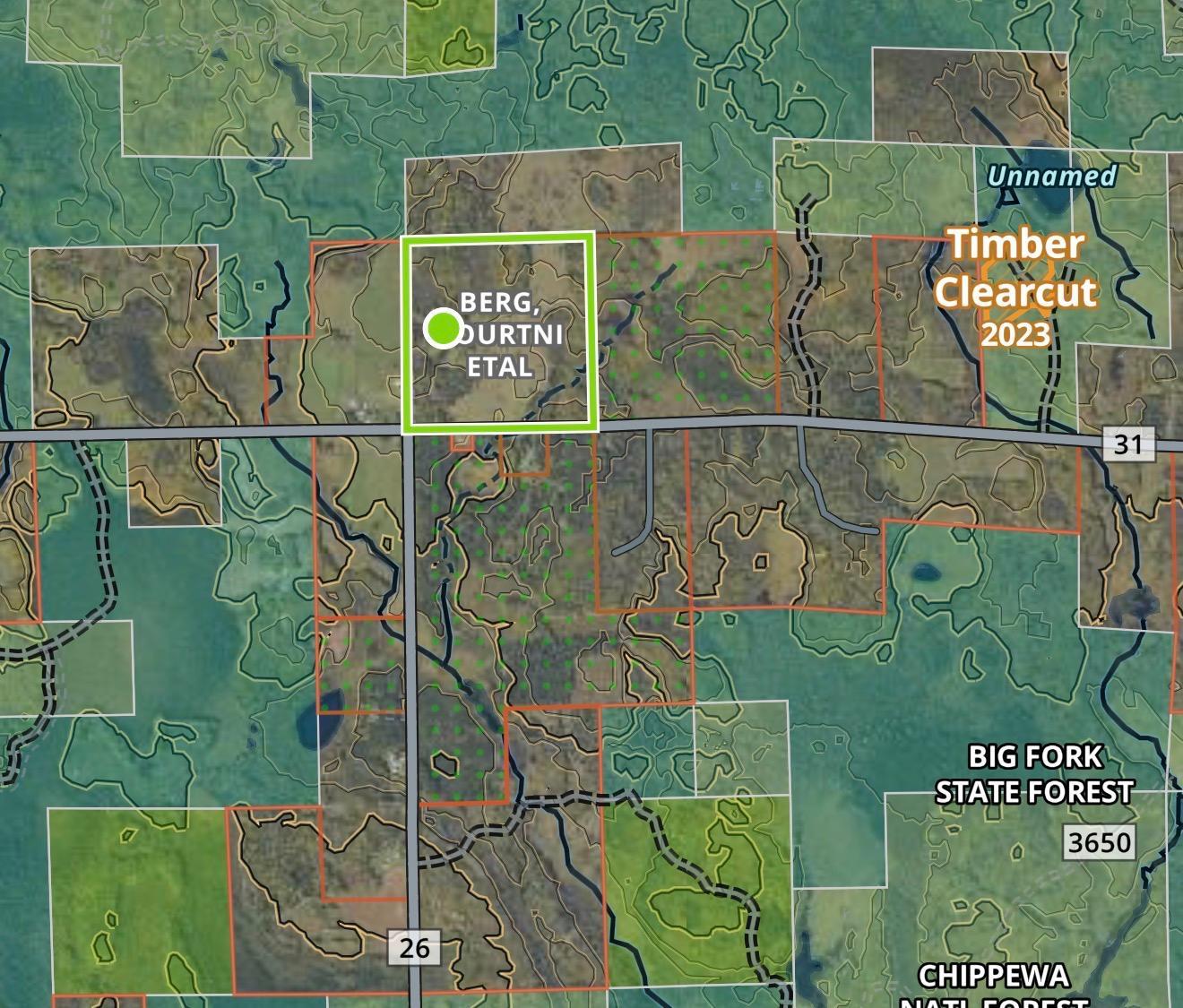 land for sale at TBD County Rd 31 in Northome, MN (photo 12 of 14)