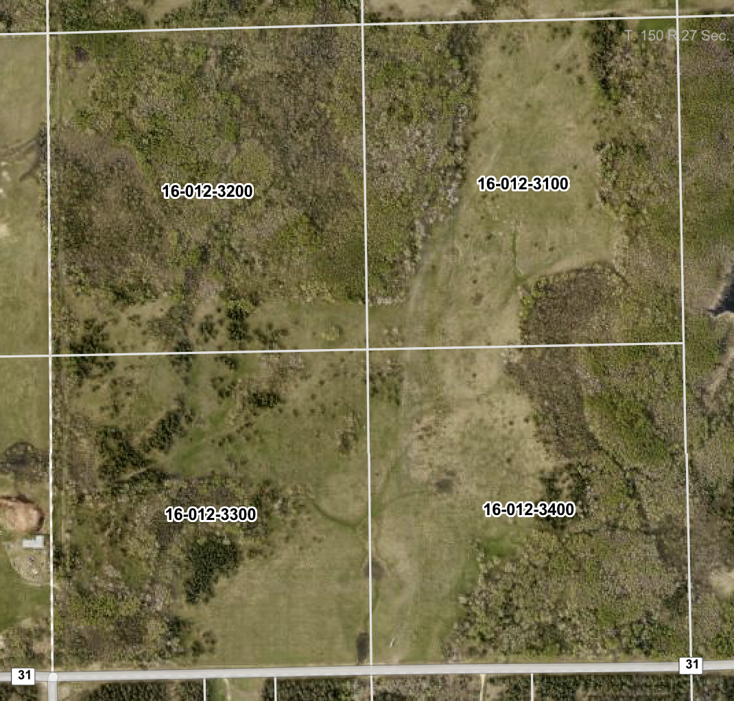 land for sale at TBD County Rd 31 in Northome, MN (photo 14 of 14)