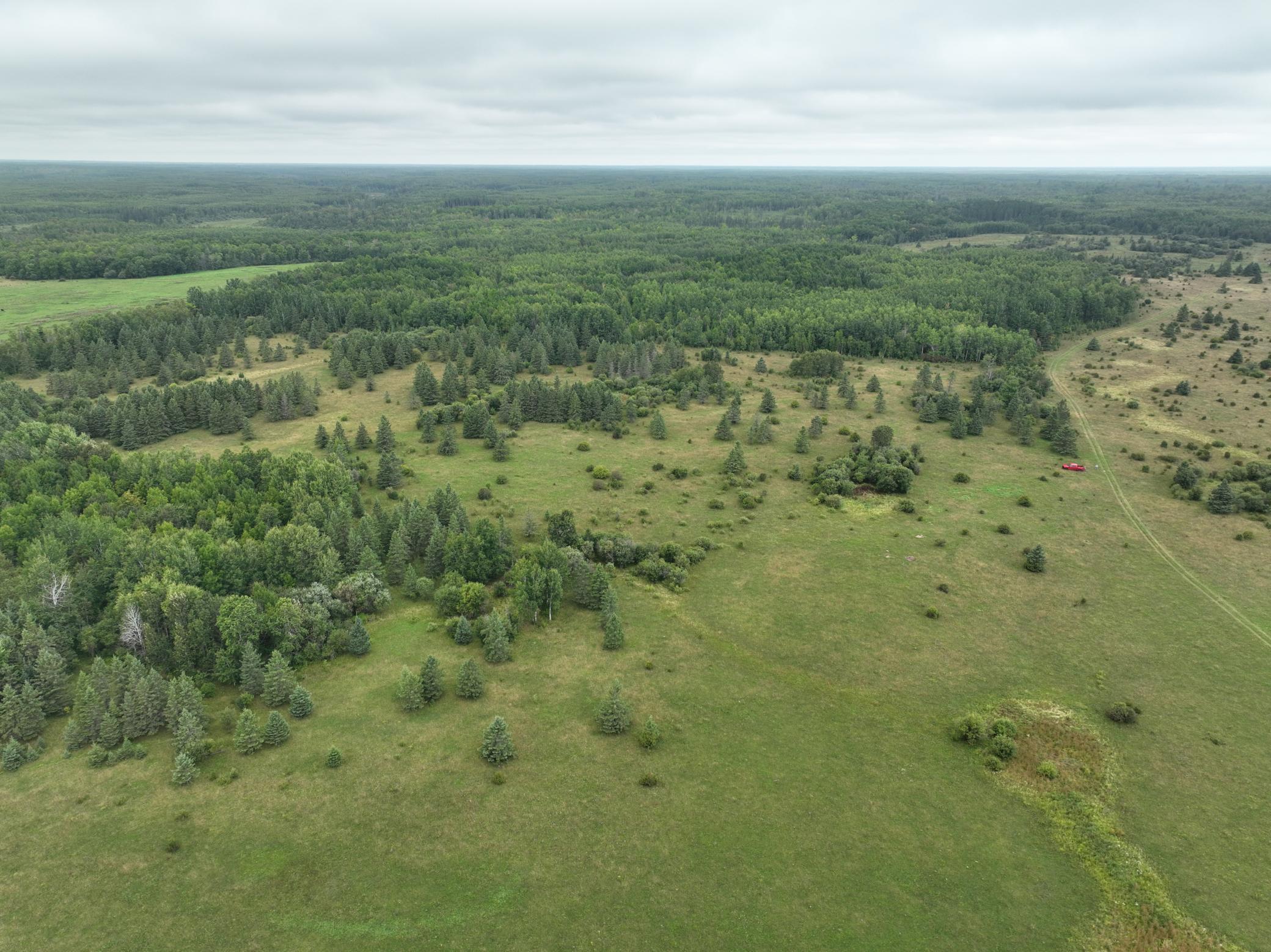 land for sale at TBD County Rd 31 in Northome, MN (photo 3 of 14)