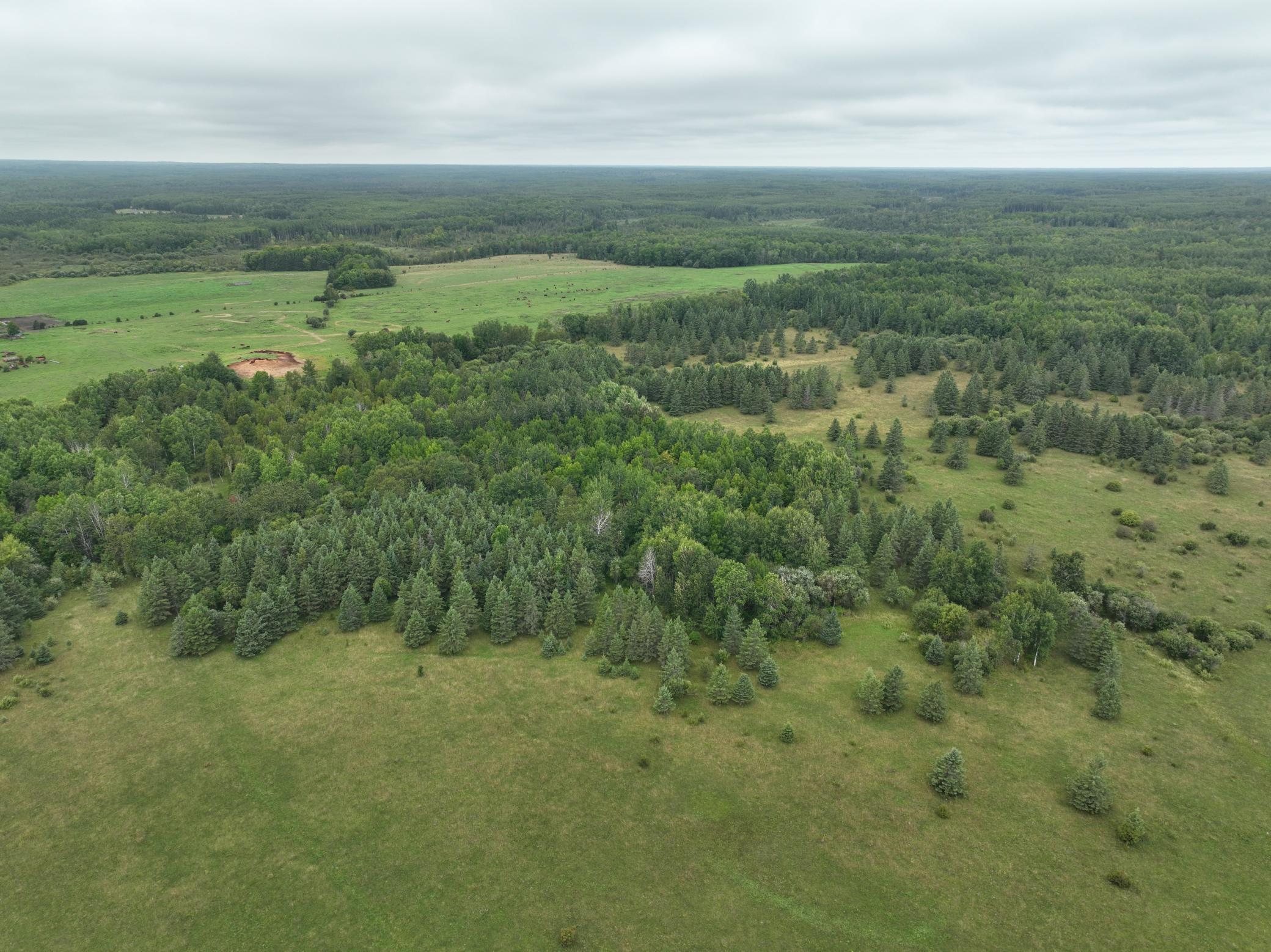 land for sale at TBD County Rd 31 in Northome, MN (photo 4 of 14)