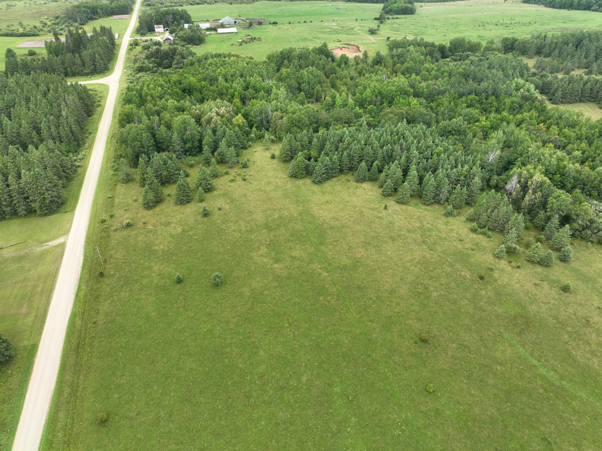 land for sale at TBD County Rd 31 in Northome, MN (photo 5 of 14)