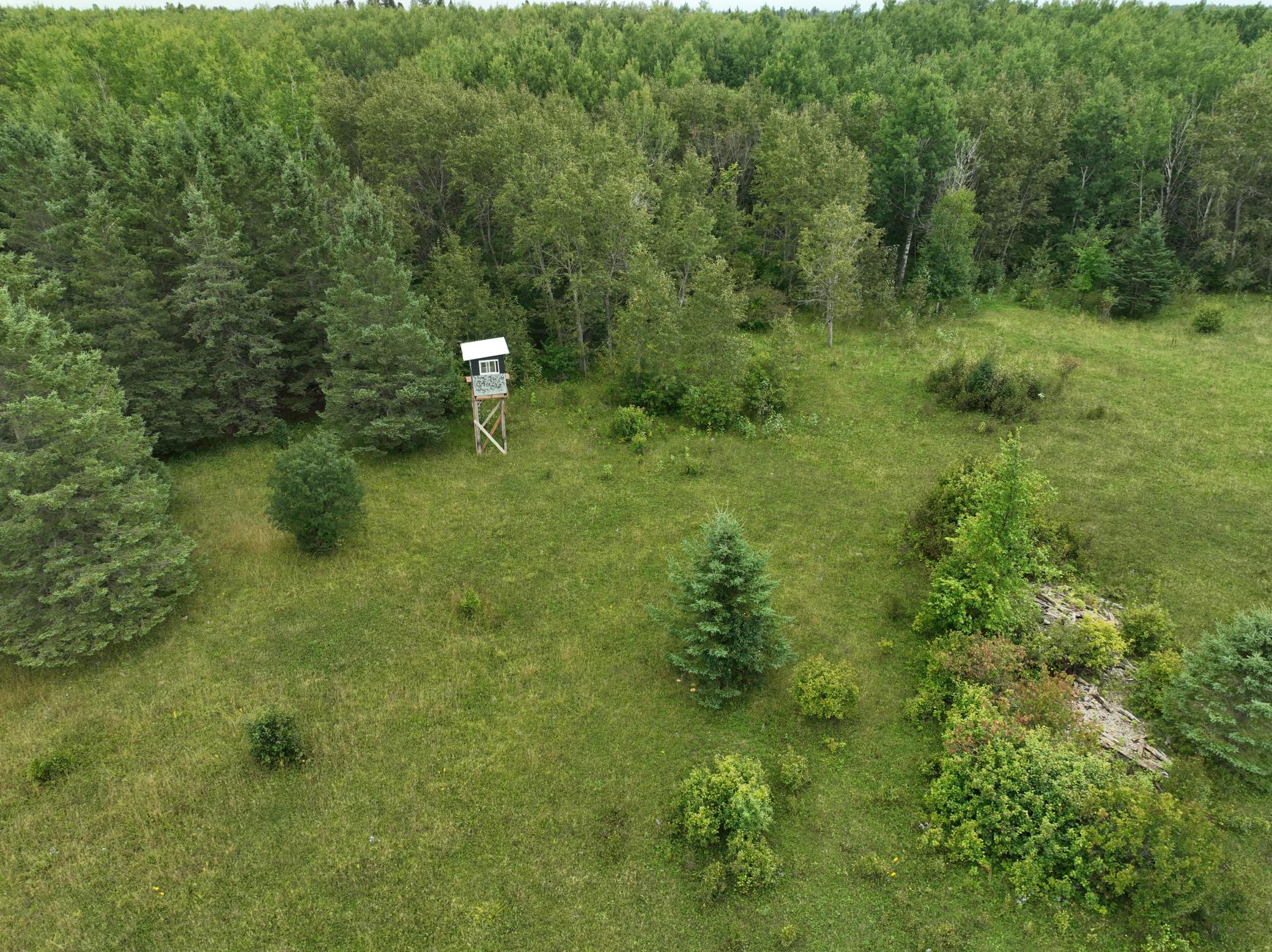 land for sale at TBD County Rd 31 in Northome, MN (photo 6 of 14)