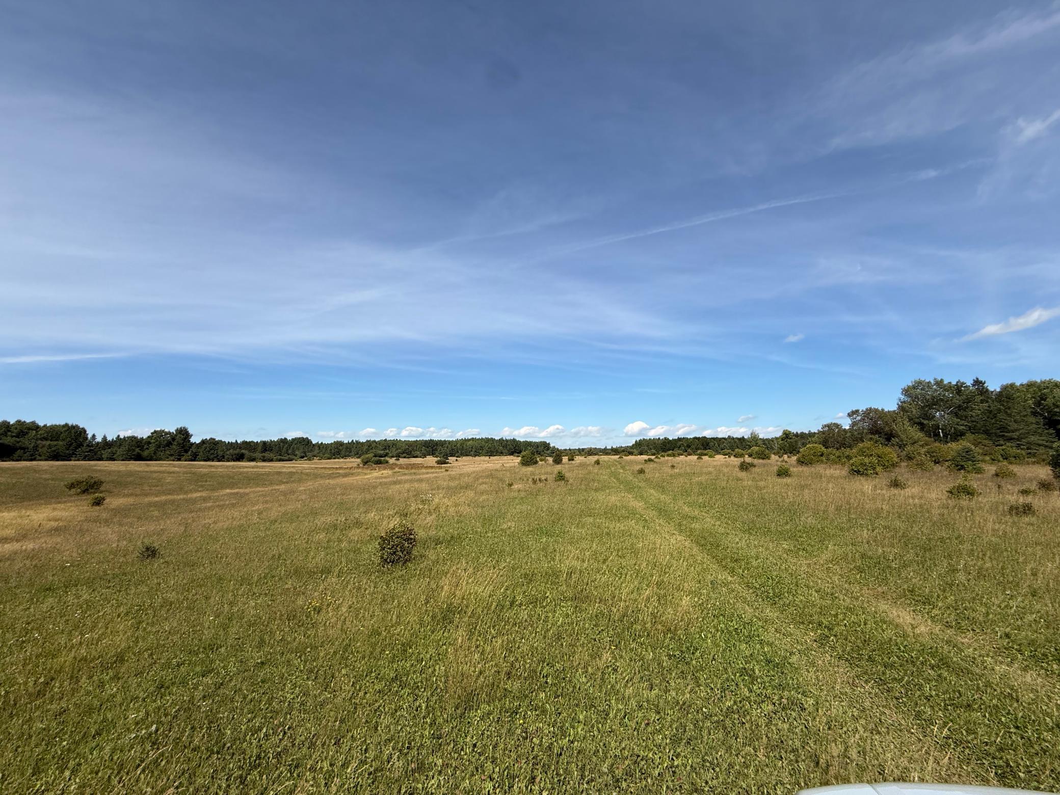 land for sale at TBD County Rd 31 in Northome, MN (photo 8 of 14)