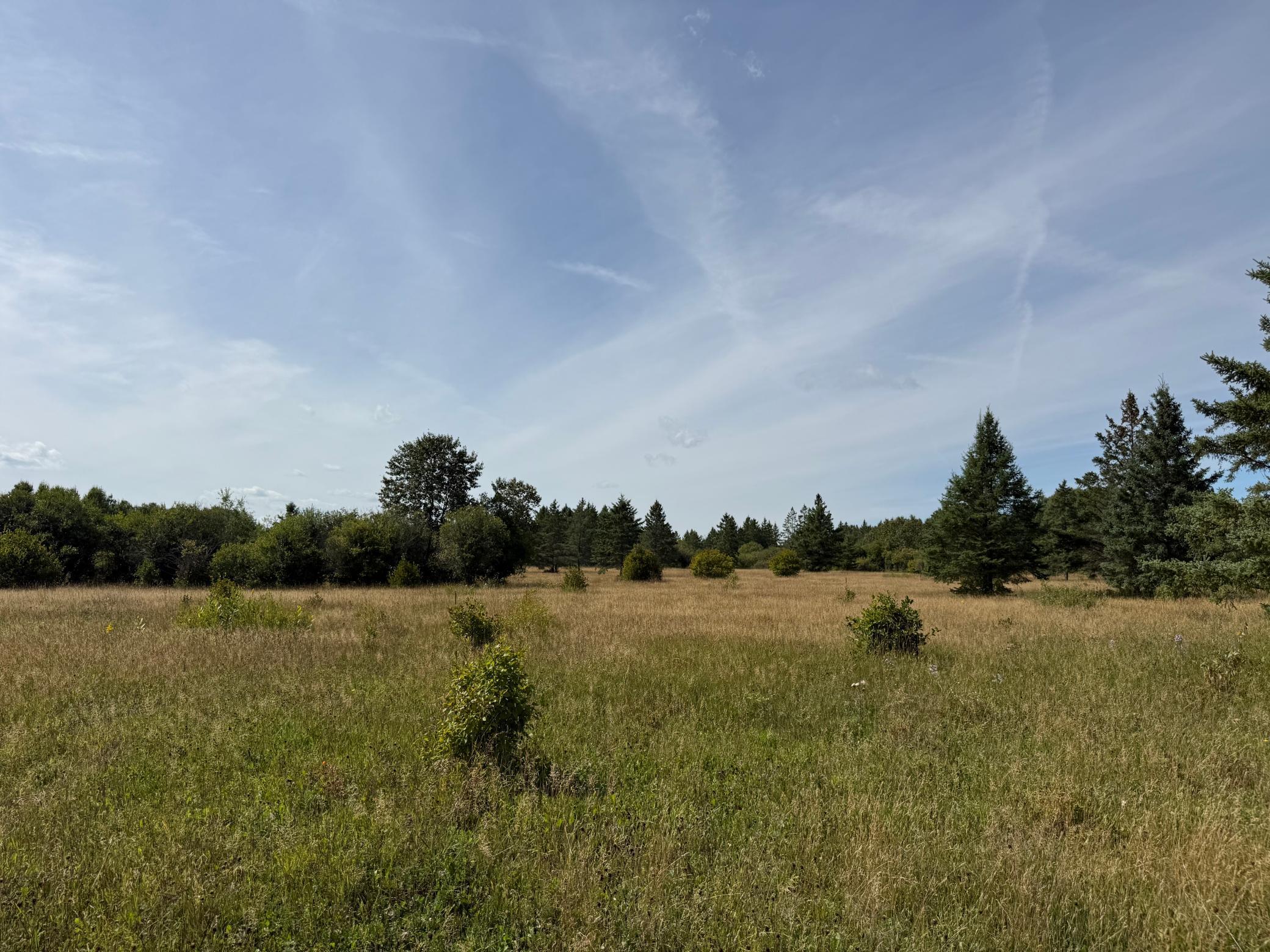 land for sale at TBD County Rd 31 in Northome, MN (photo 9 of 14)