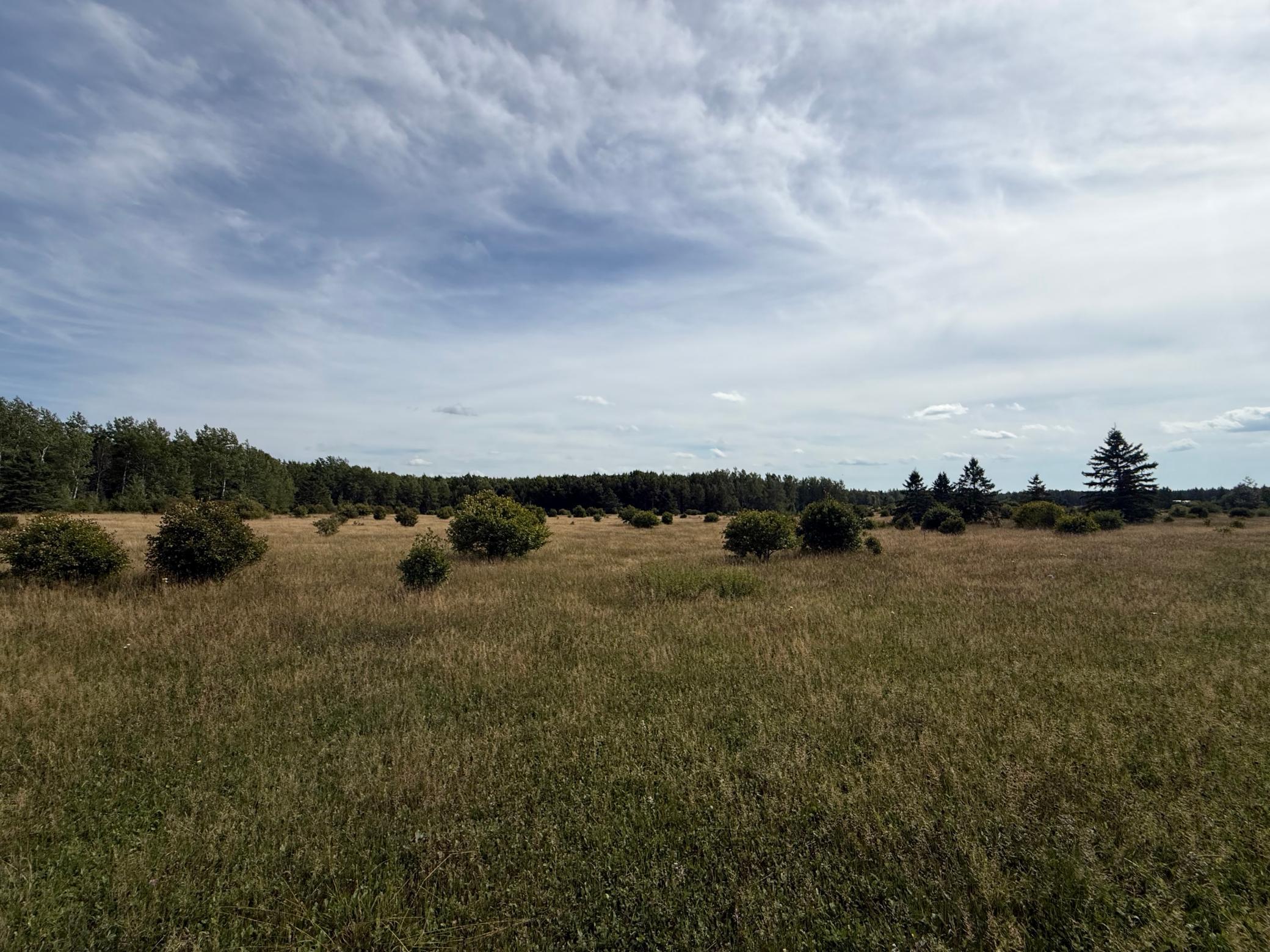 land for sale at TBD County Rd 31 in Northome, MN (photo 10 of 14)
