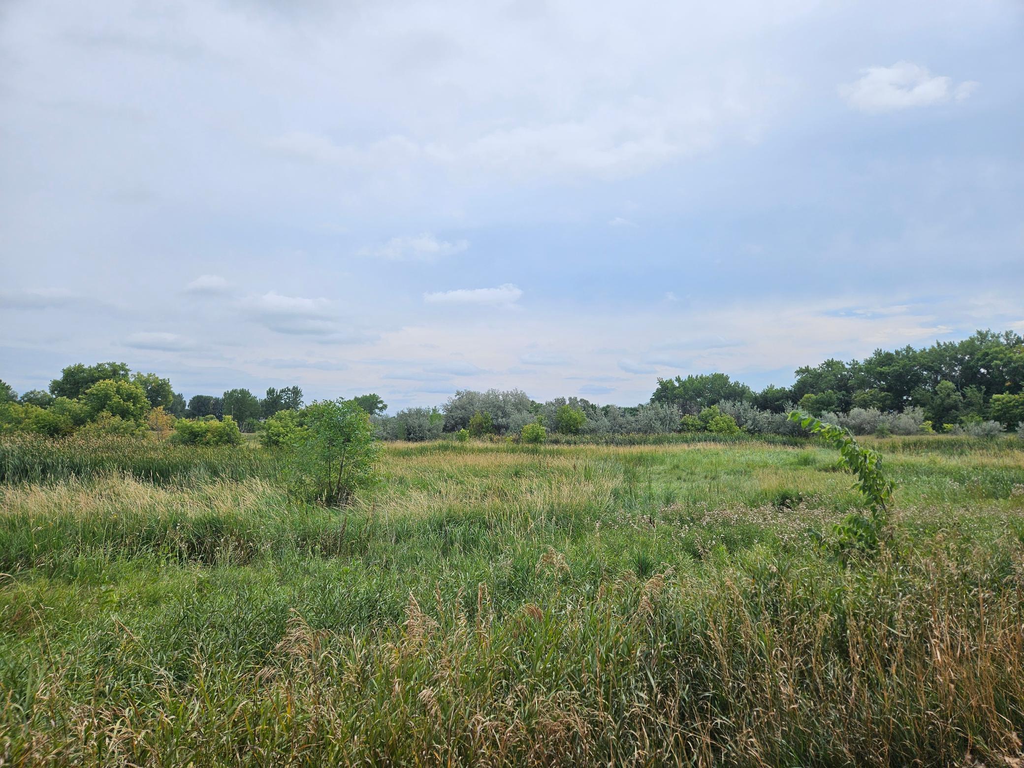 land for sale at 2222 Brown Street in Wheatland, ND (photo 14 of 25)