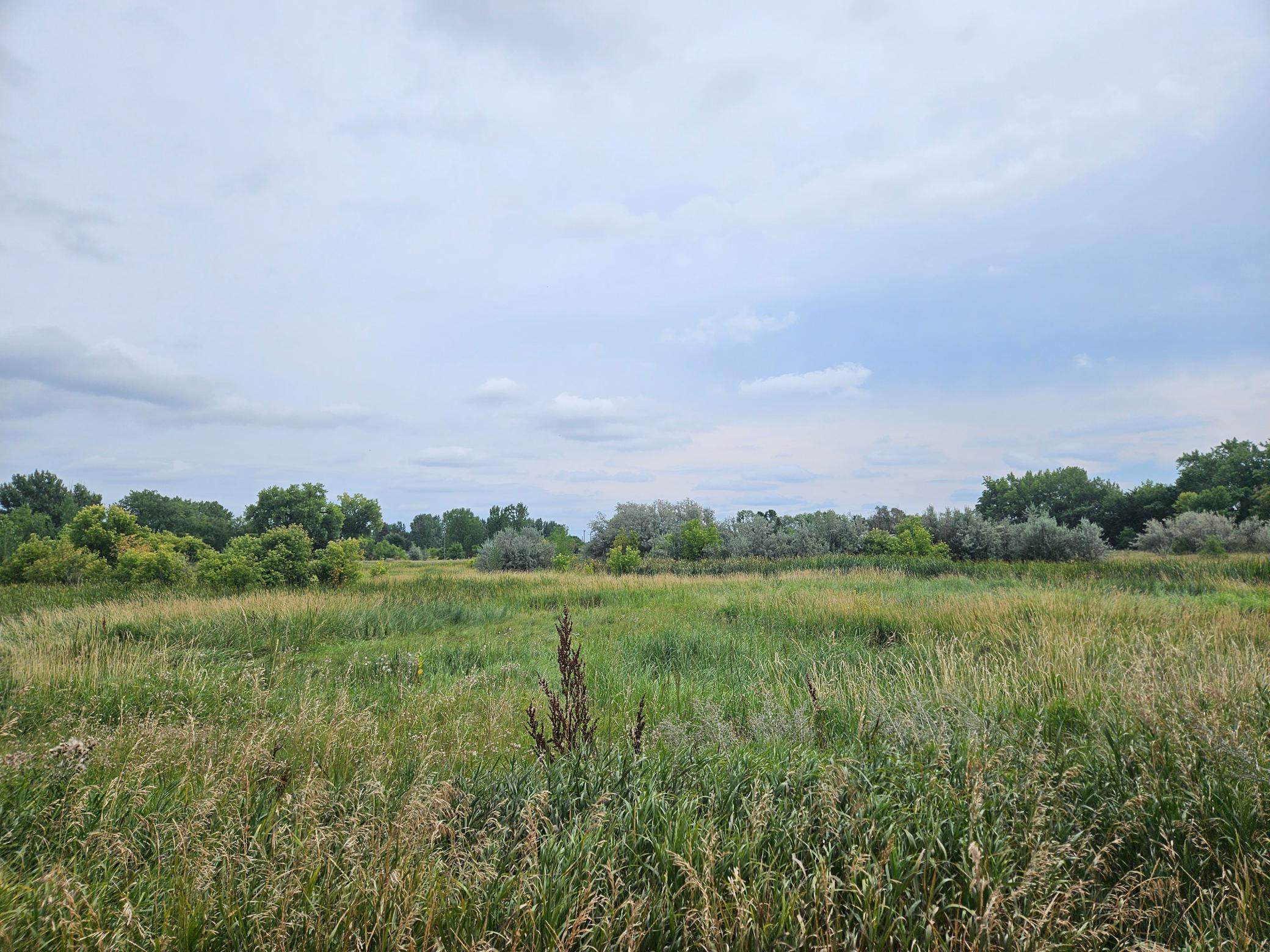land for sale at 2222 Brown Street in Wheatland, ND (photo 15 of 25)