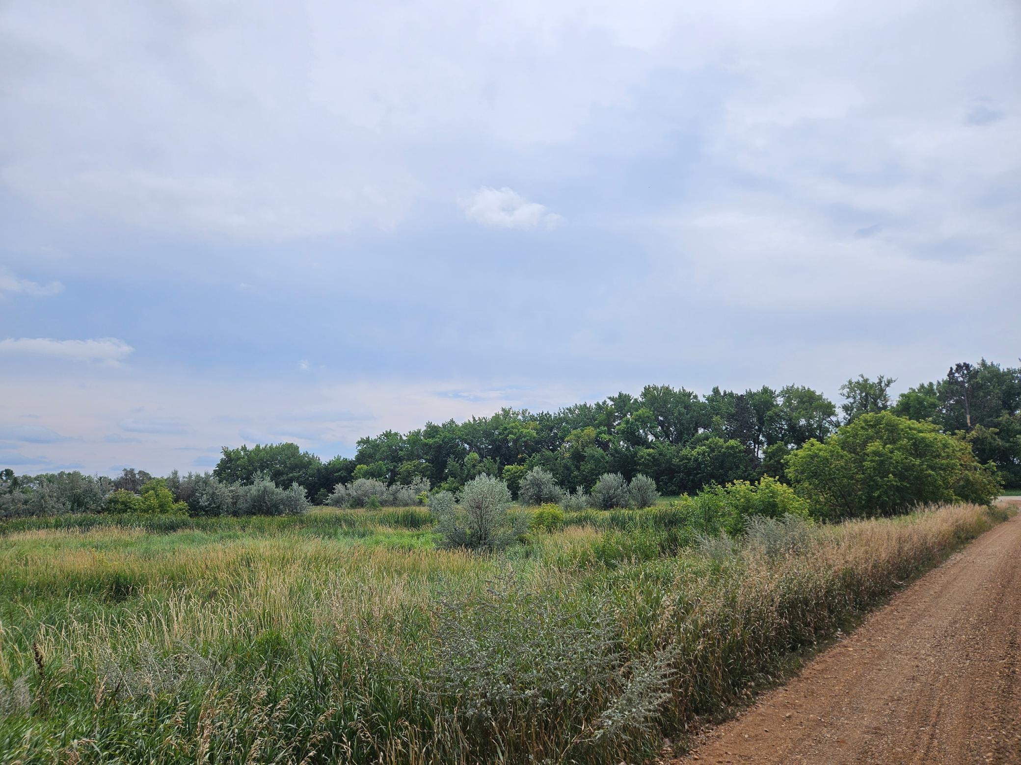 land for sale at 2222 Brown Street in Wheatland, ND (photo 16 of 25)