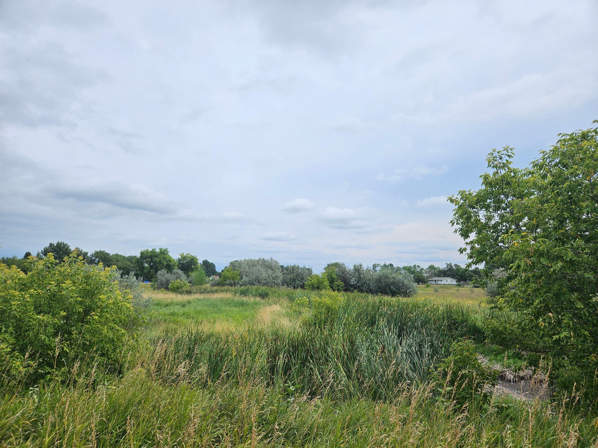 land for sale at 2222 Brown Street in Wheatland, ND (photo 17 of 25)