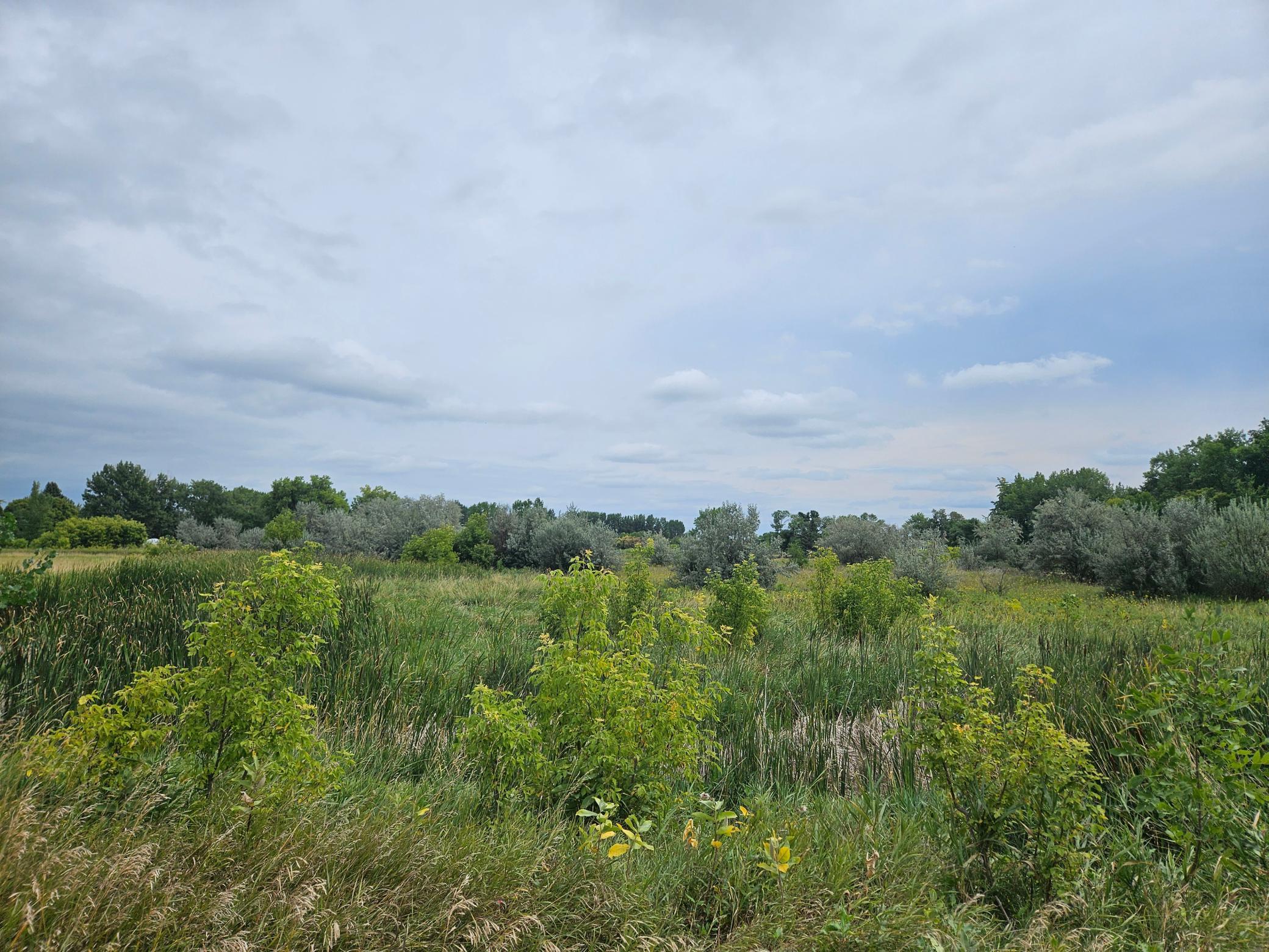 land for sale at 2222 Brown Street in Wheatland, ND (photo 18 of 25)