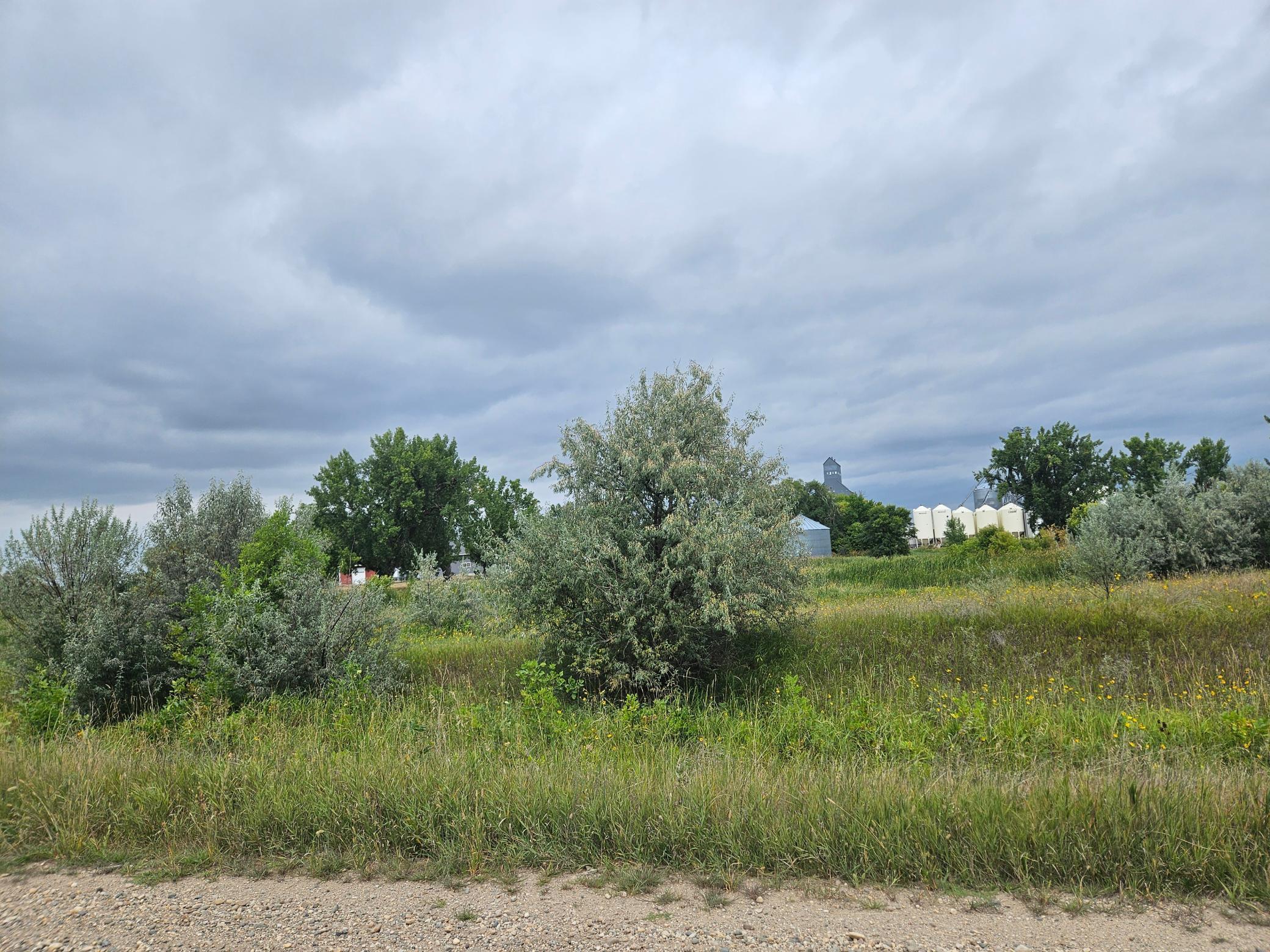 land for sale at 2222 Brown Street in Wheatland, ND (photo 22 of 25)