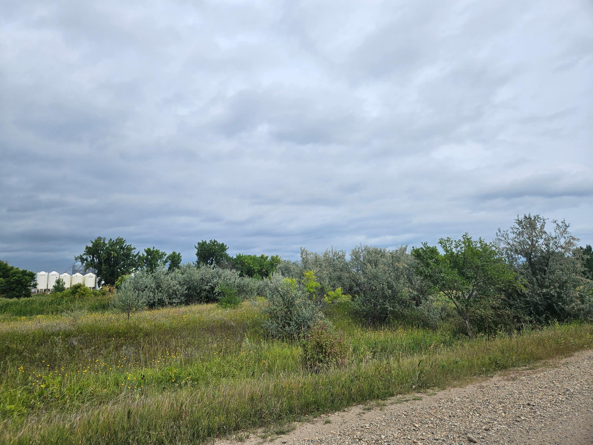 land for sale at 2222 Brown Street in Wheatland, ND (photo 23 of 25)
