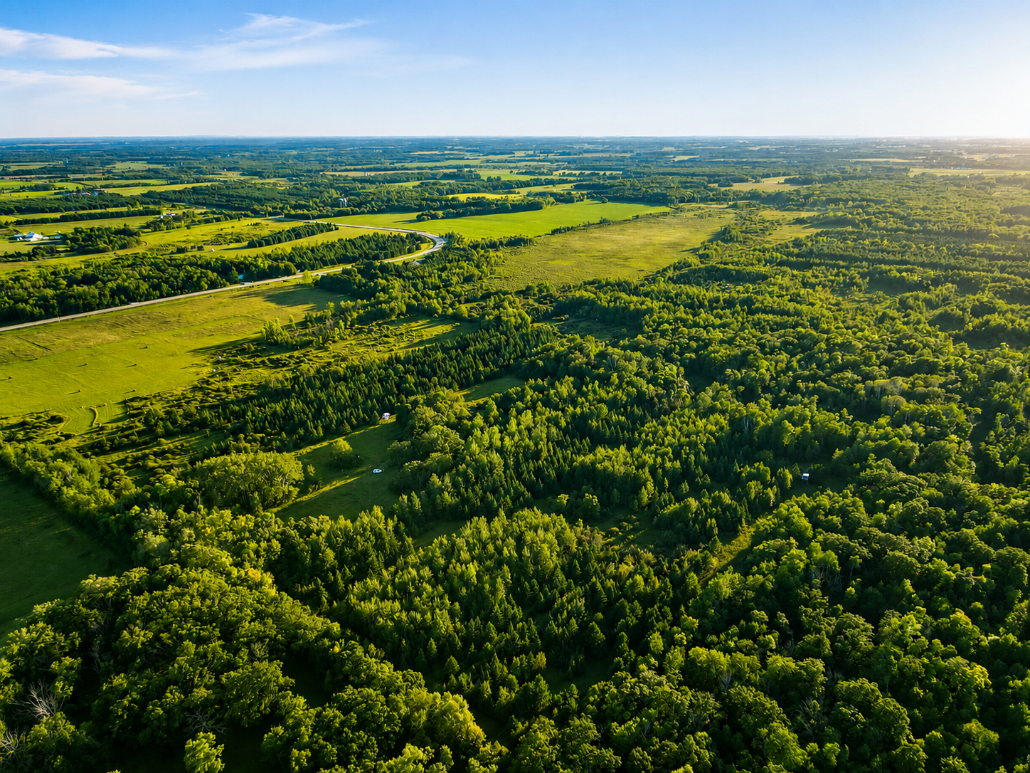 land for sale at TBD Co Hwy 56 in New York Mills, MN