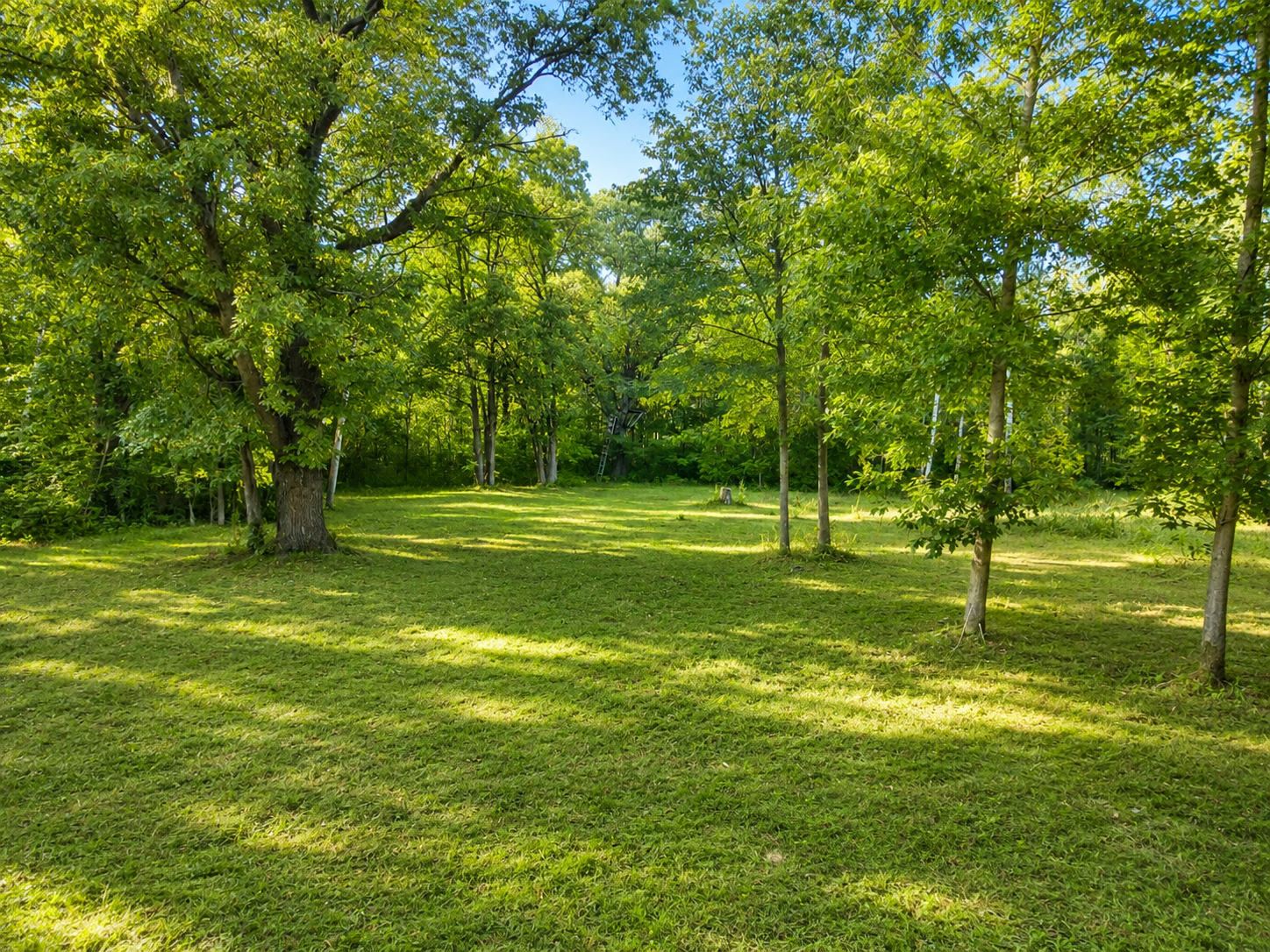 1960 land for sale at TBD Co Hwy 56 in New York Mills, MN (photo 14 of 32)