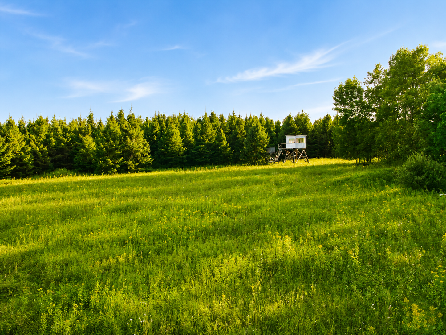 1960 land for sale at TBD Co Hwy 56 in New York Mills, MN (photo 16 of 32)