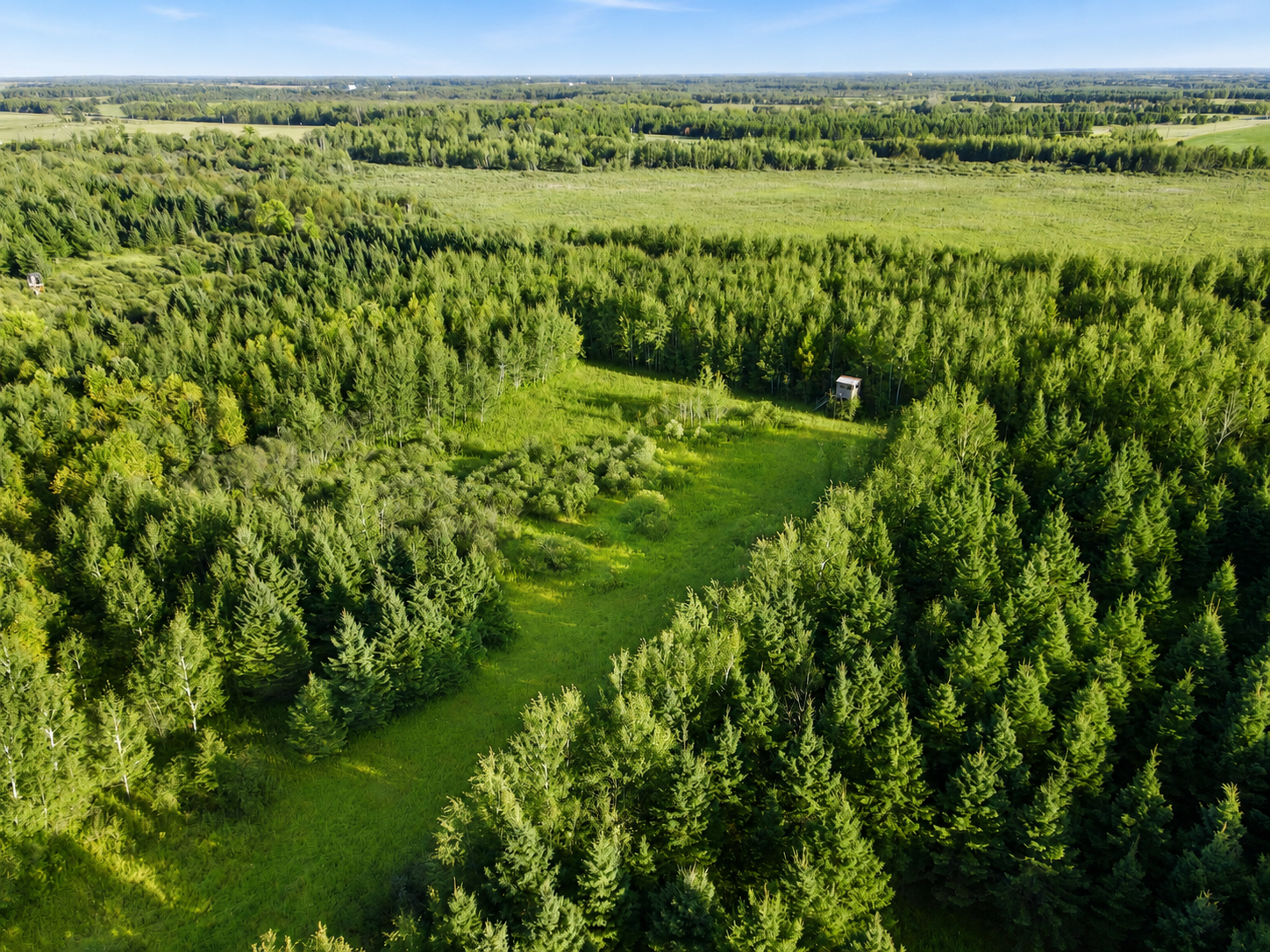 1960 land for sale at TBD Co Hwy 56 in New York Mills, MN (photo 17 of 32)