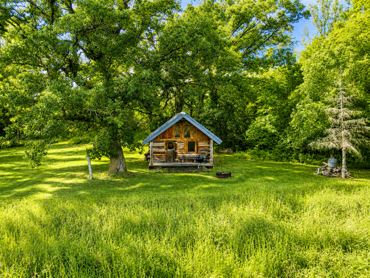 1960 land for sale at TBD Co Hwy 56 in New York Mills, MN (photo 5 of 32)