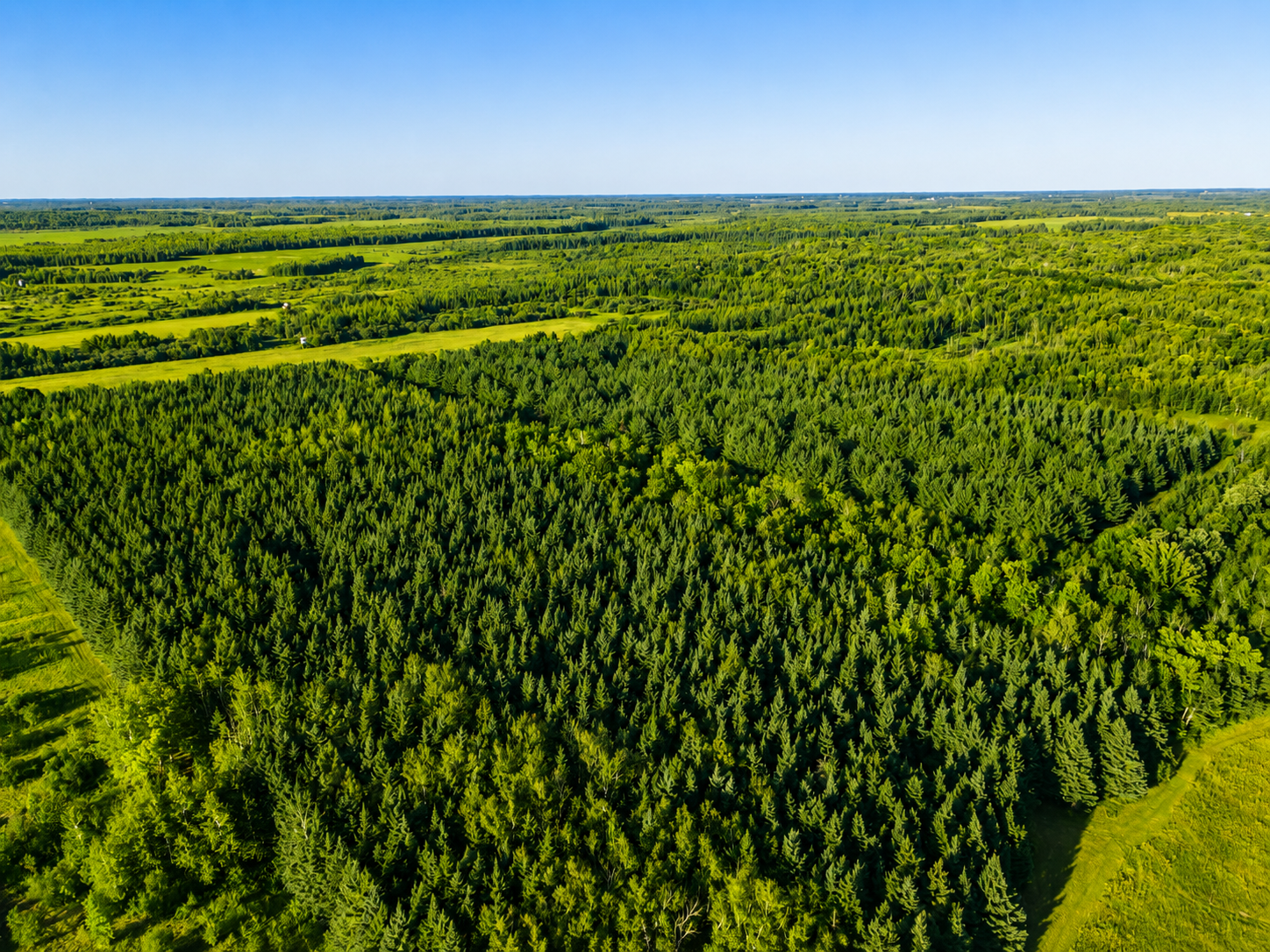 1960 land for sale at TBD Co Hwy 56 in New York Mills, MN (photo 7 of 32)