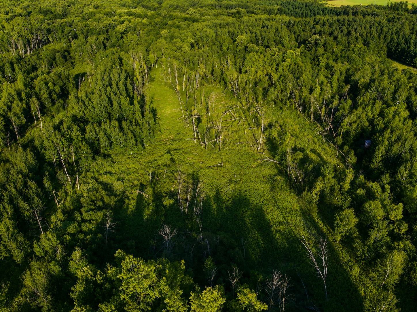 1960 land for sale at TBD Co Hwy 56 in New York Mills, MN (photo 8 of 32)