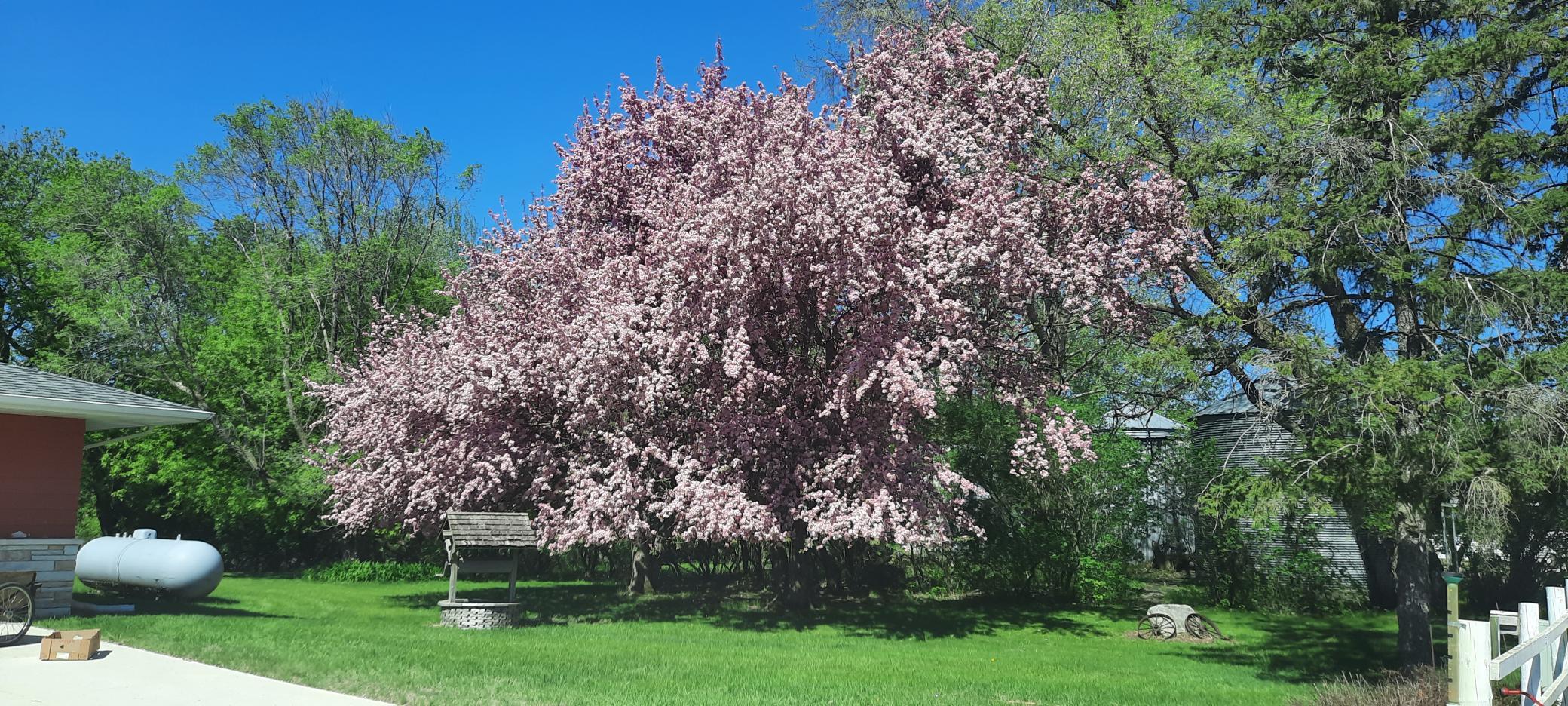 1960 single family home for sale at 11952 Carnation Lane SW in Farwell, MN — 4 bed, 4 bath (photo 112 of 119)
