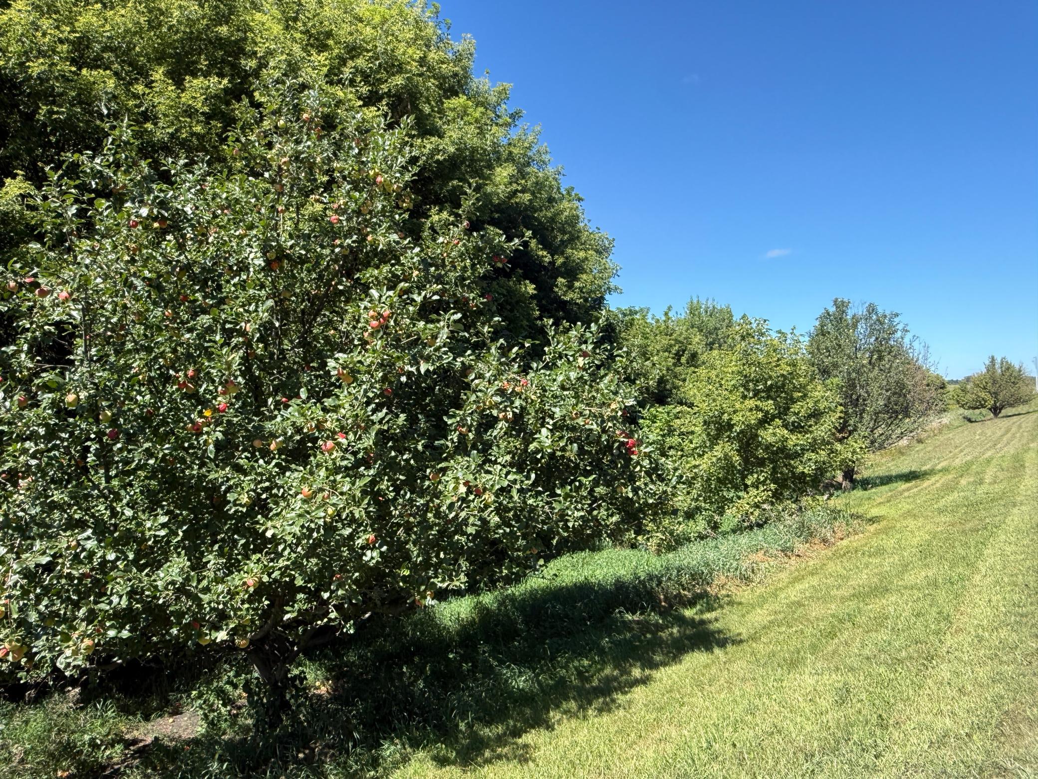 1960 single family home for sale at 11952 Carnation Lane SW in Farwell, MN — 4 bed, 4 bath (photo 99 of 119)