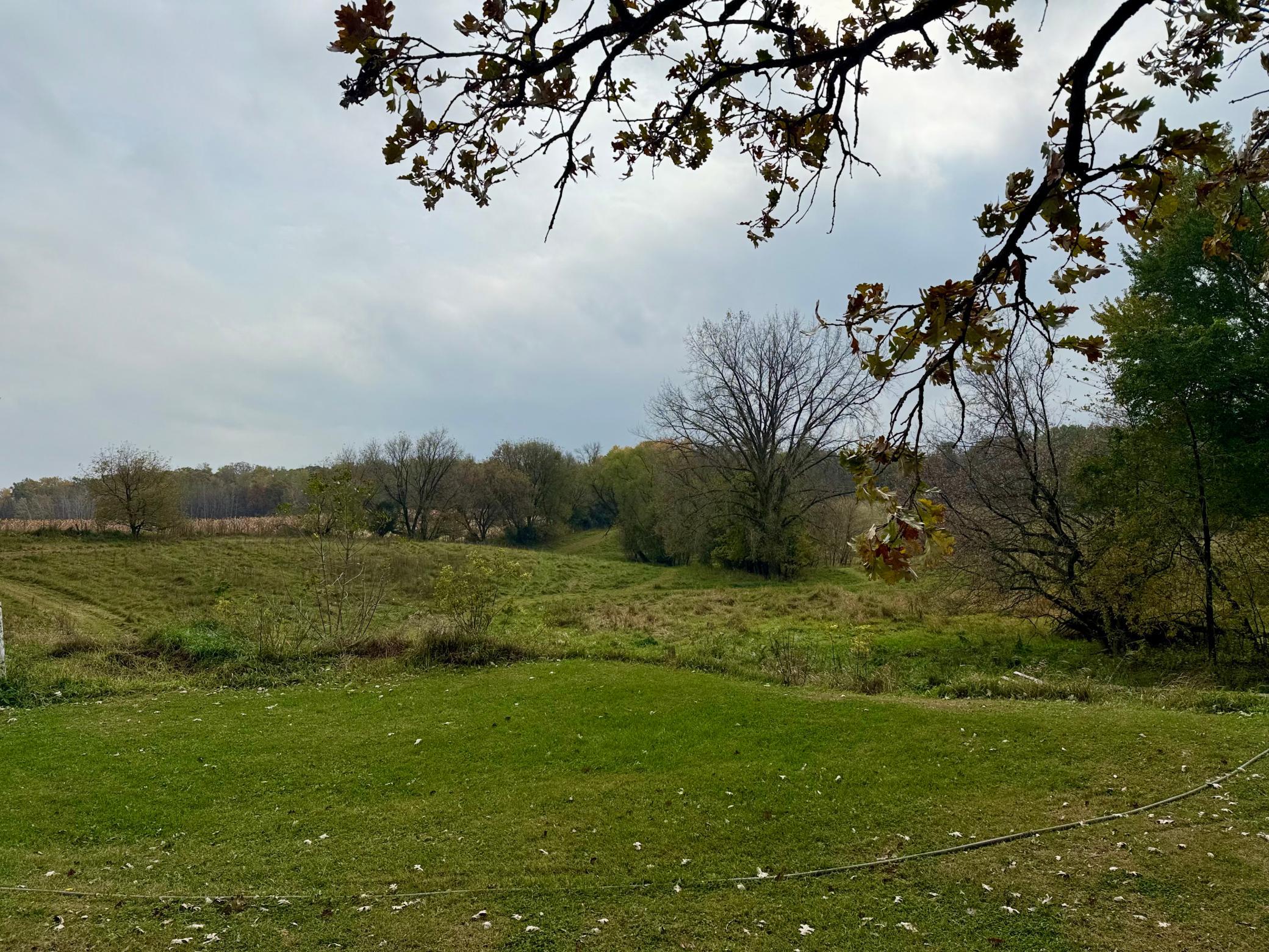 1900 single family home for sale at 11328 County 11 in Sauk Centre, MN — 3 bed, 1 bath (photo 6 of 14)