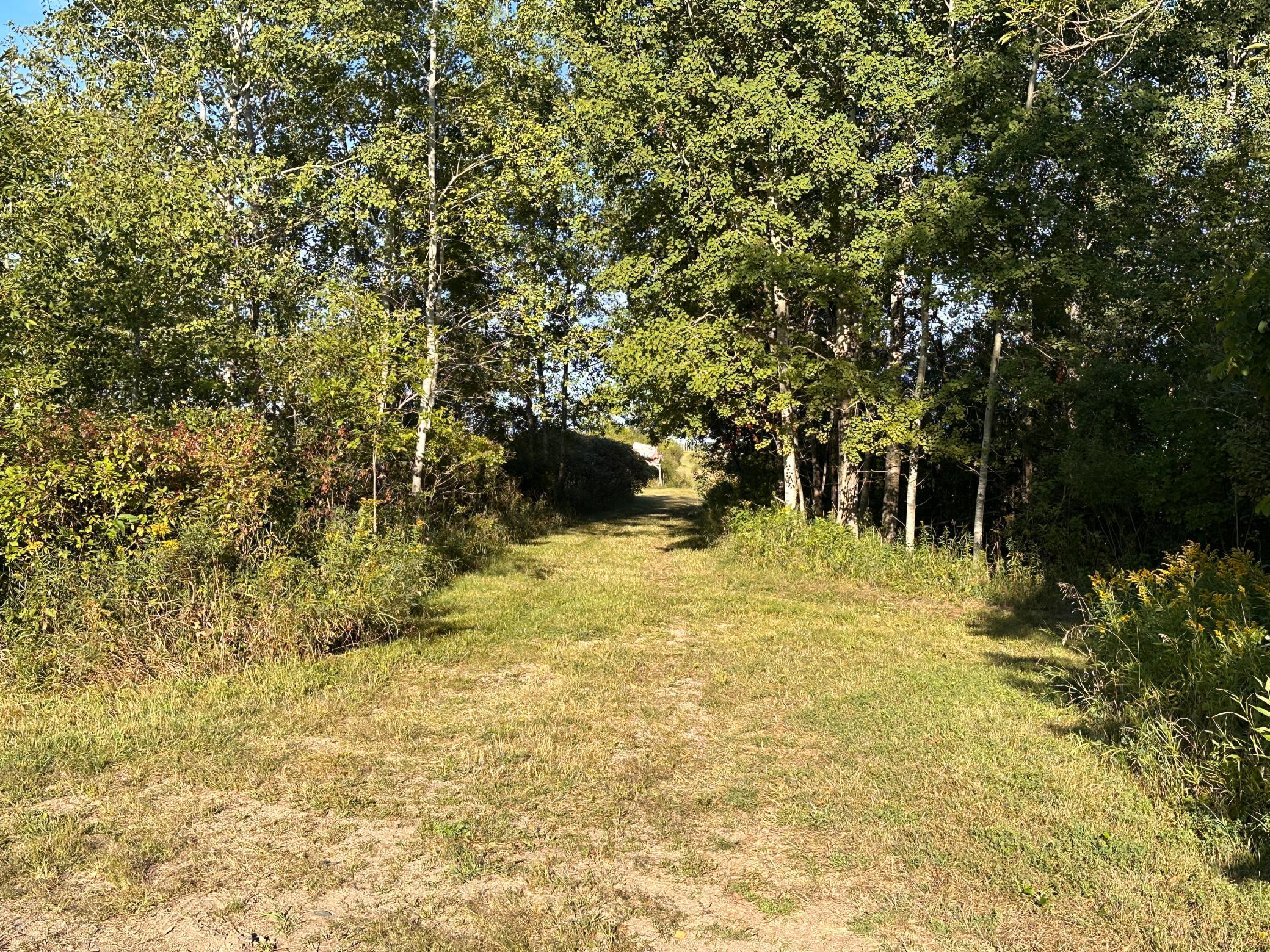 1950 single family home for sale at 40099 Us-71 in Bertha, MN — 4 bed, 2 bath (photo 16 of 55)