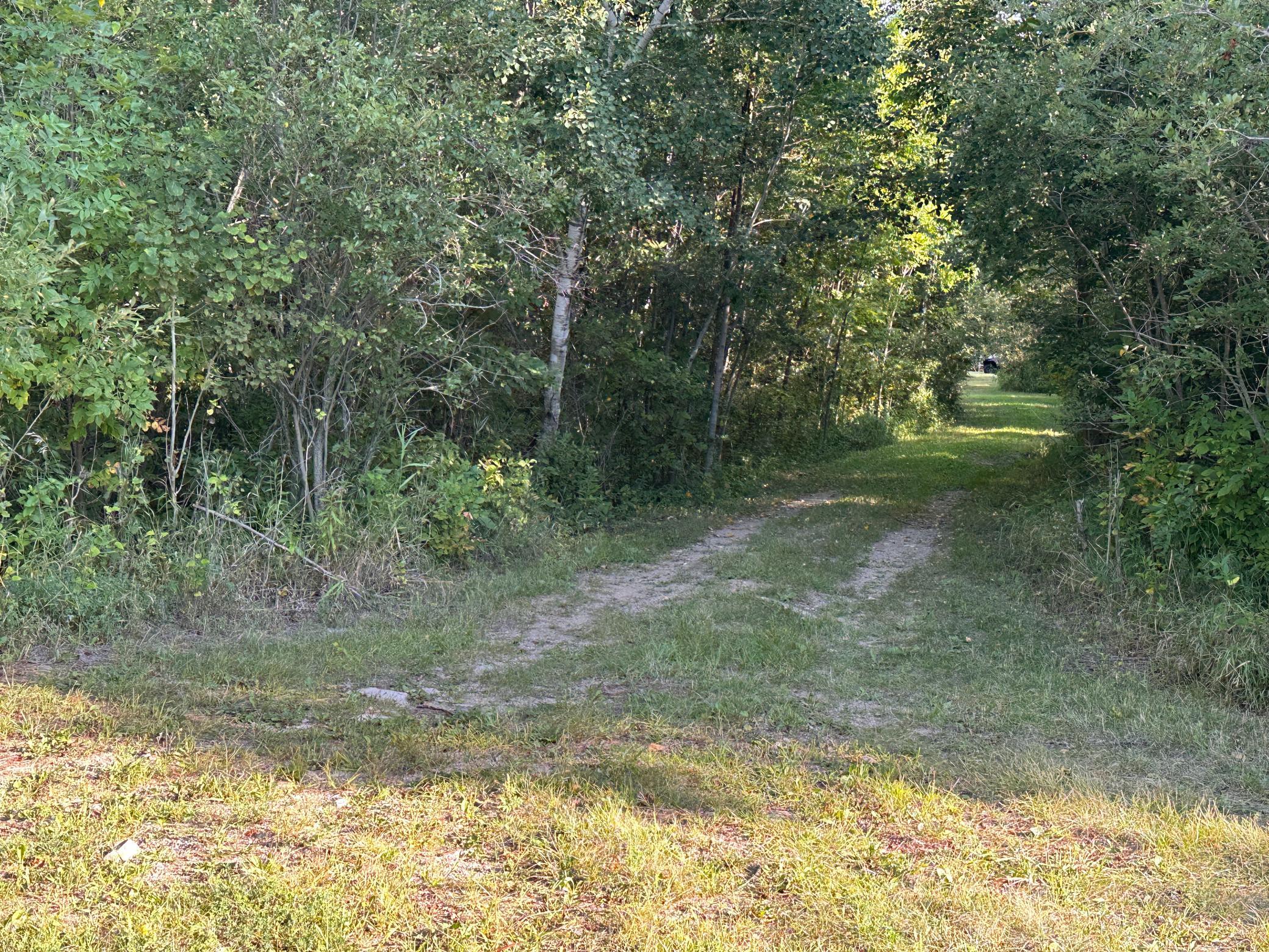 1950 single family home for sale at 40099 Us-71 in Bertha, MN — 4 bed, 2 bath (photo 17 of 55)