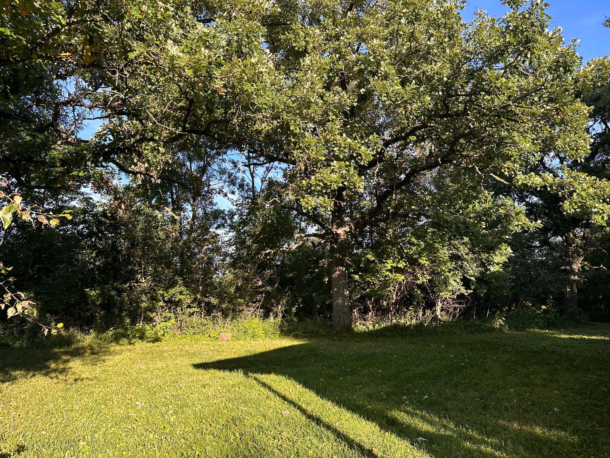 1950 single family home for sale at 40099 Us-71 in Bertha, MN — 4 bed, 2 bath (photo 22 of 55)