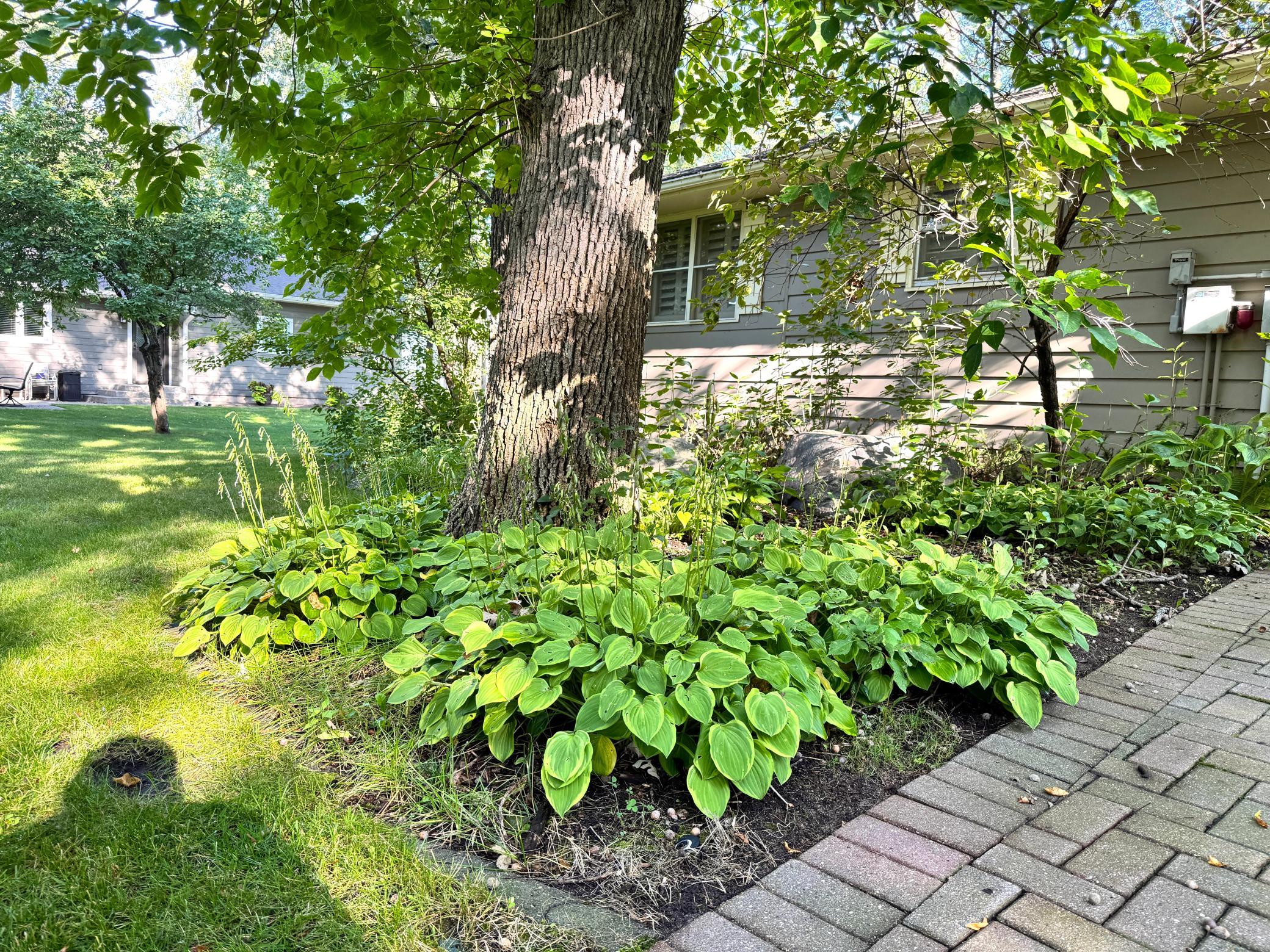 1971 single family home for sale at 38675 Wagon Trail Loop in Battle Lake, MN — 3 bed, 1 bath (photo 12 of 46)