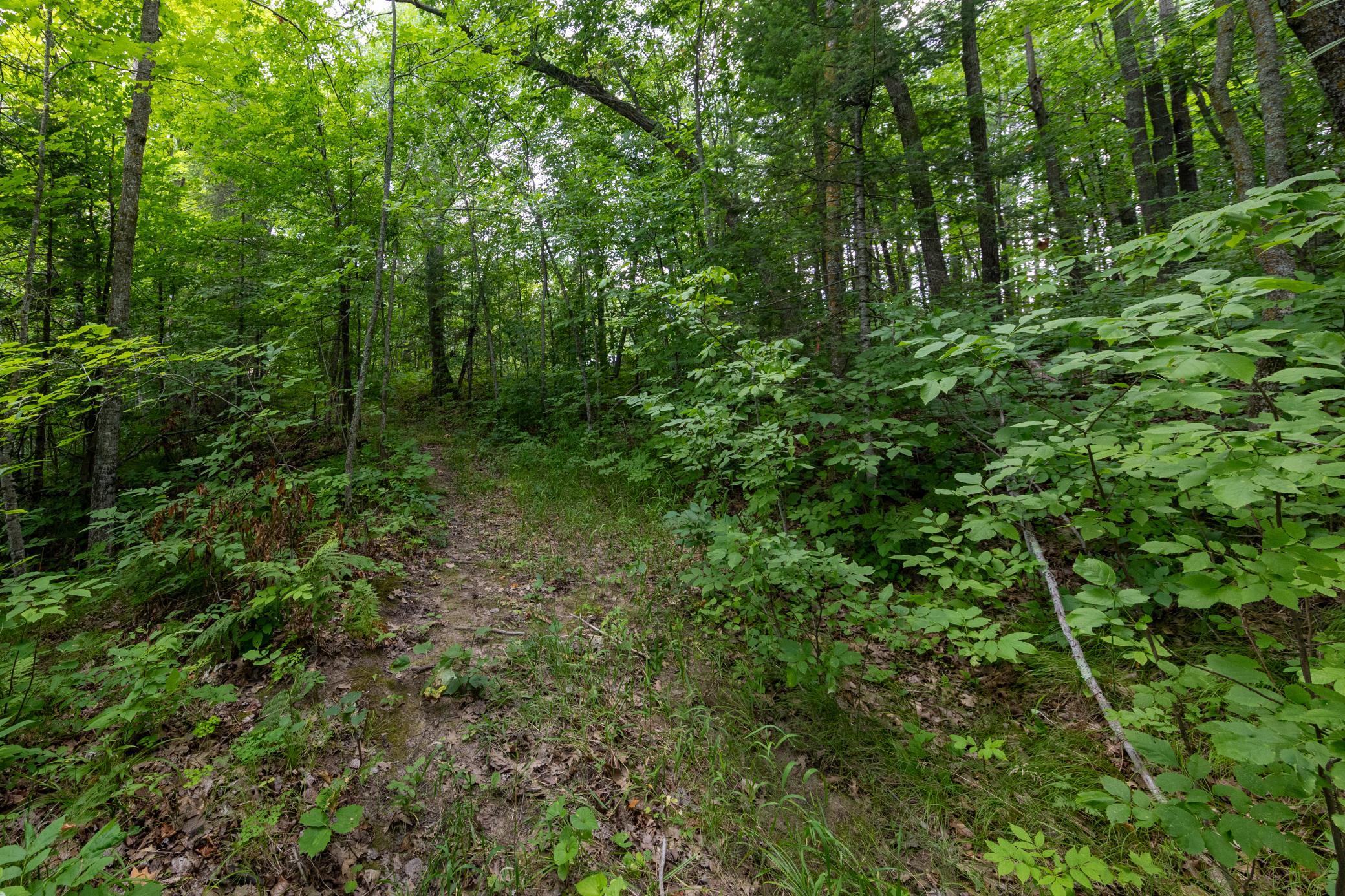 land for sale at TBD MN-18 in Brainerd, MN