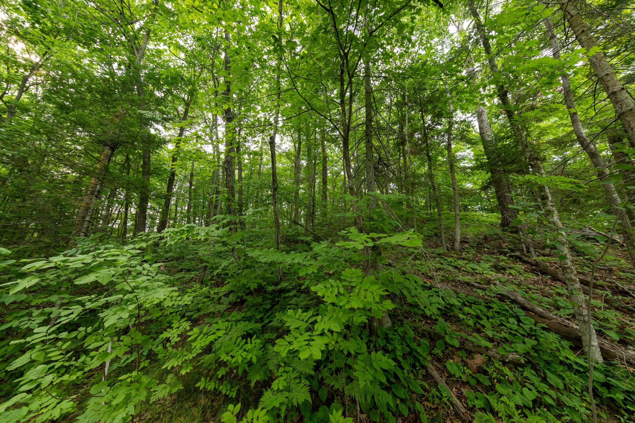 land for sale at TBD MN-18 in Brainerd, MN (photo 5 of 13)