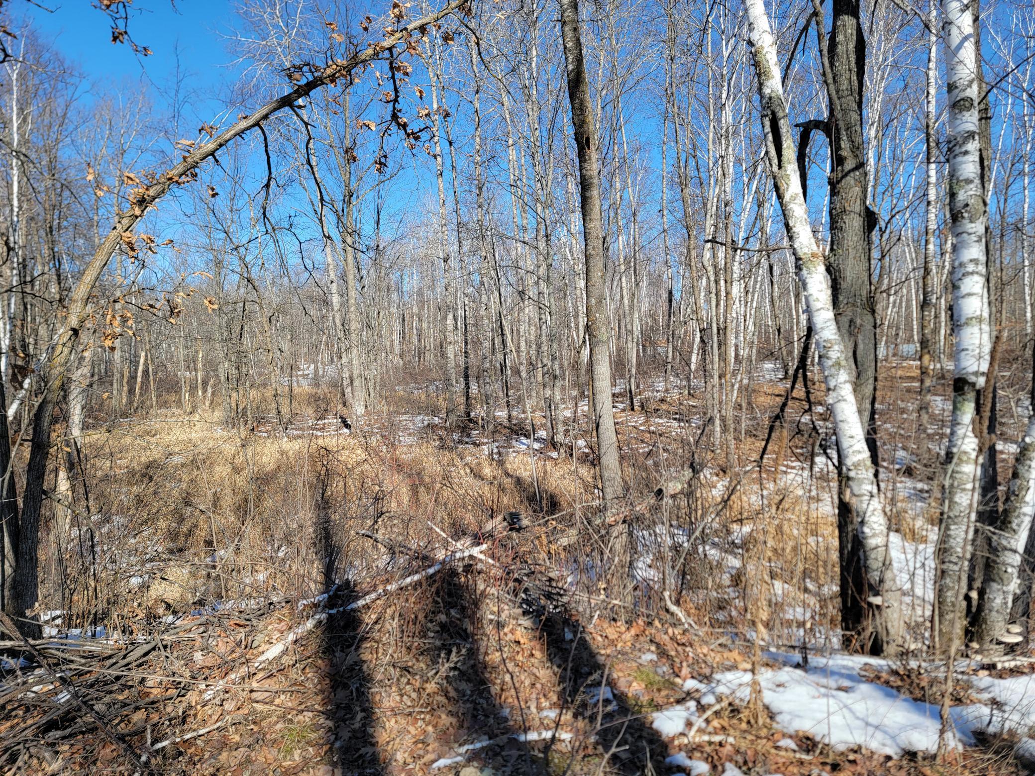land for sale at TBD XXXX Meadow Lake Road SW in Motley, MN