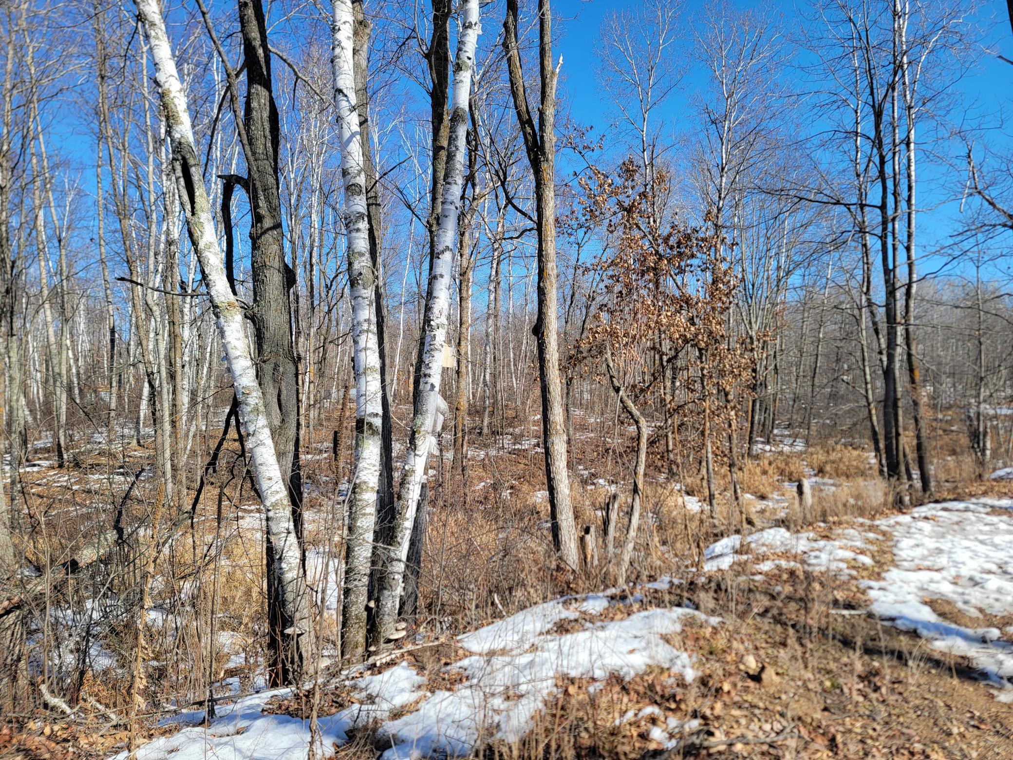 land for sale at TBD XXXX Meadow Lake Road SW in Motley, MN (photo 2 of 13)