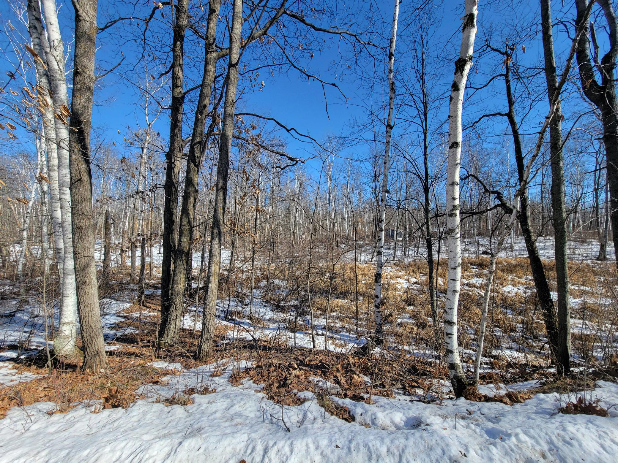 land for sale at TBD XXXX Meadow Lake Road SW in Motley, MN (photo 11 of 13)