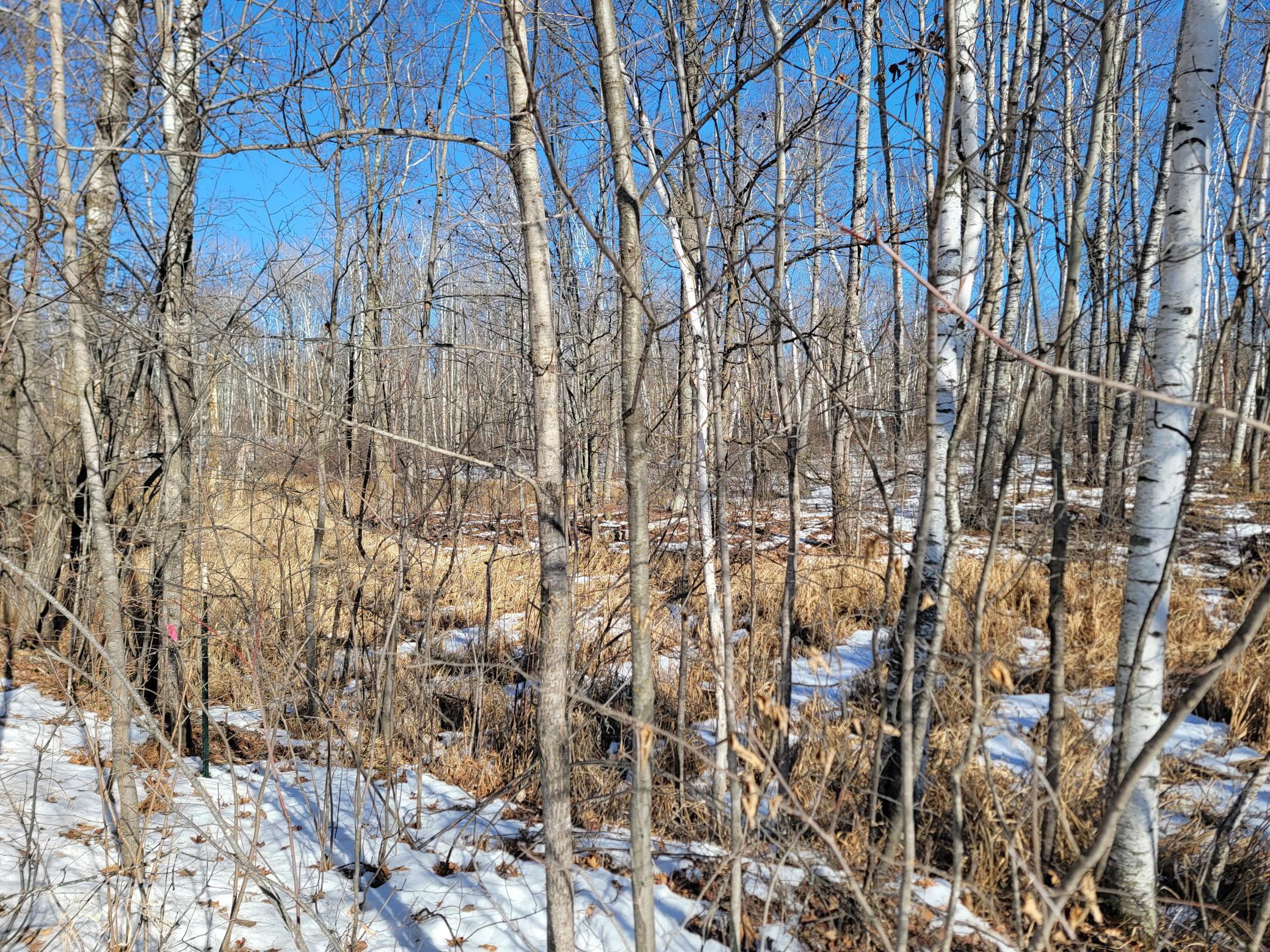 land for sale at TBD XXXX Meadow Lake Road SW in Motley, MN (photo 13 of 13)