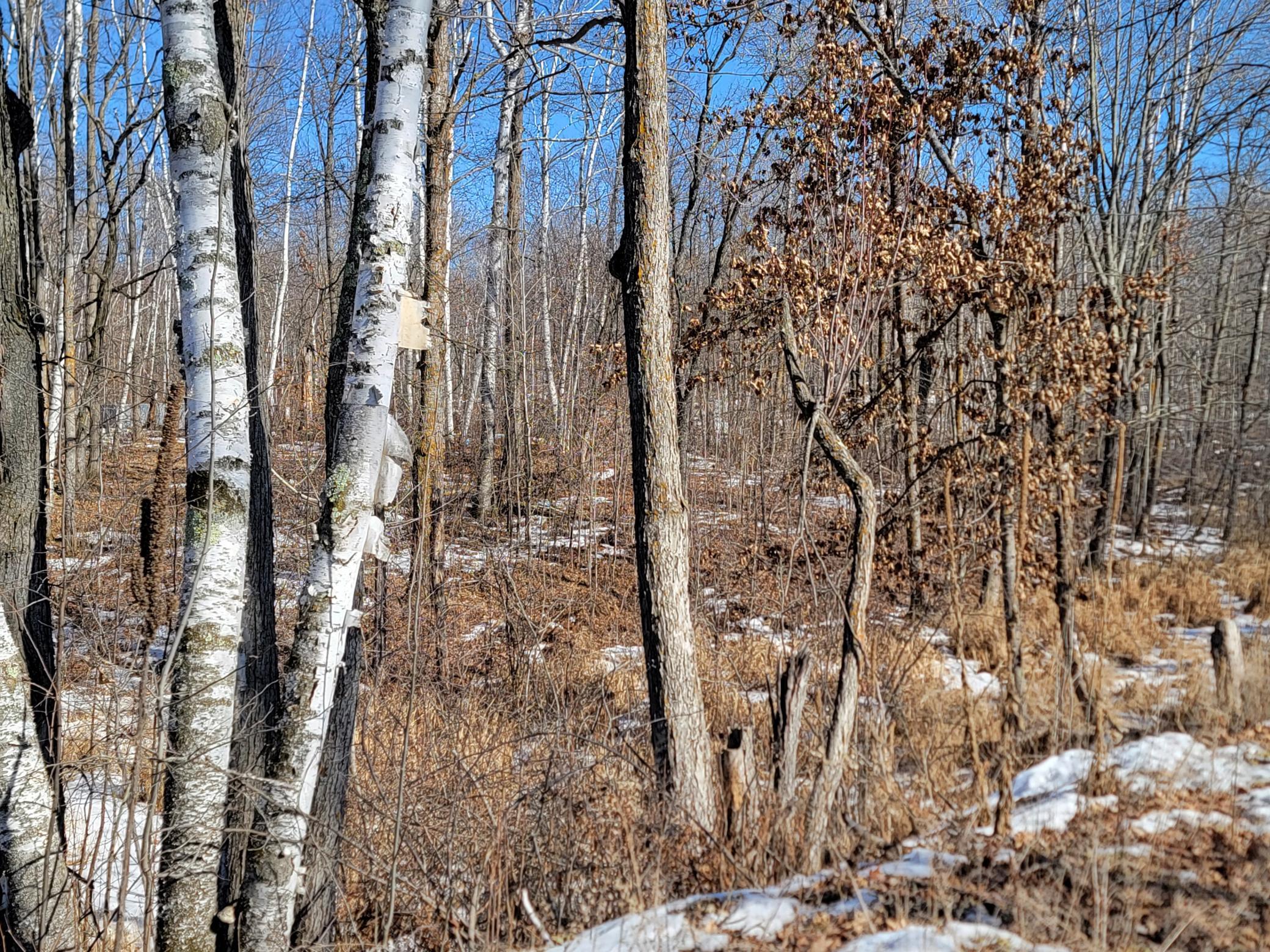 land for sale at TBD XXXX Meadow Lake Road SW in Motley, MN (photo 3 of 13)