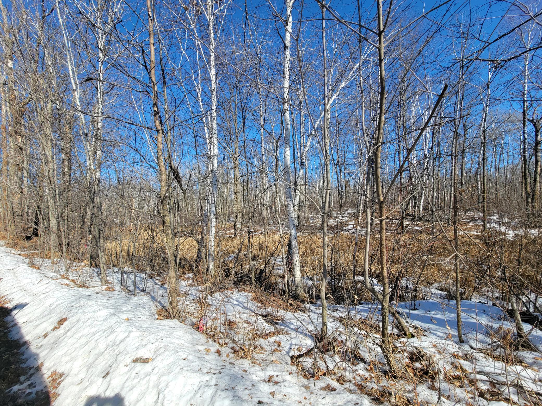 land for sale at TBD XXXX Meadow Lake Road SW in Motley, MN (photo 4 of 13)