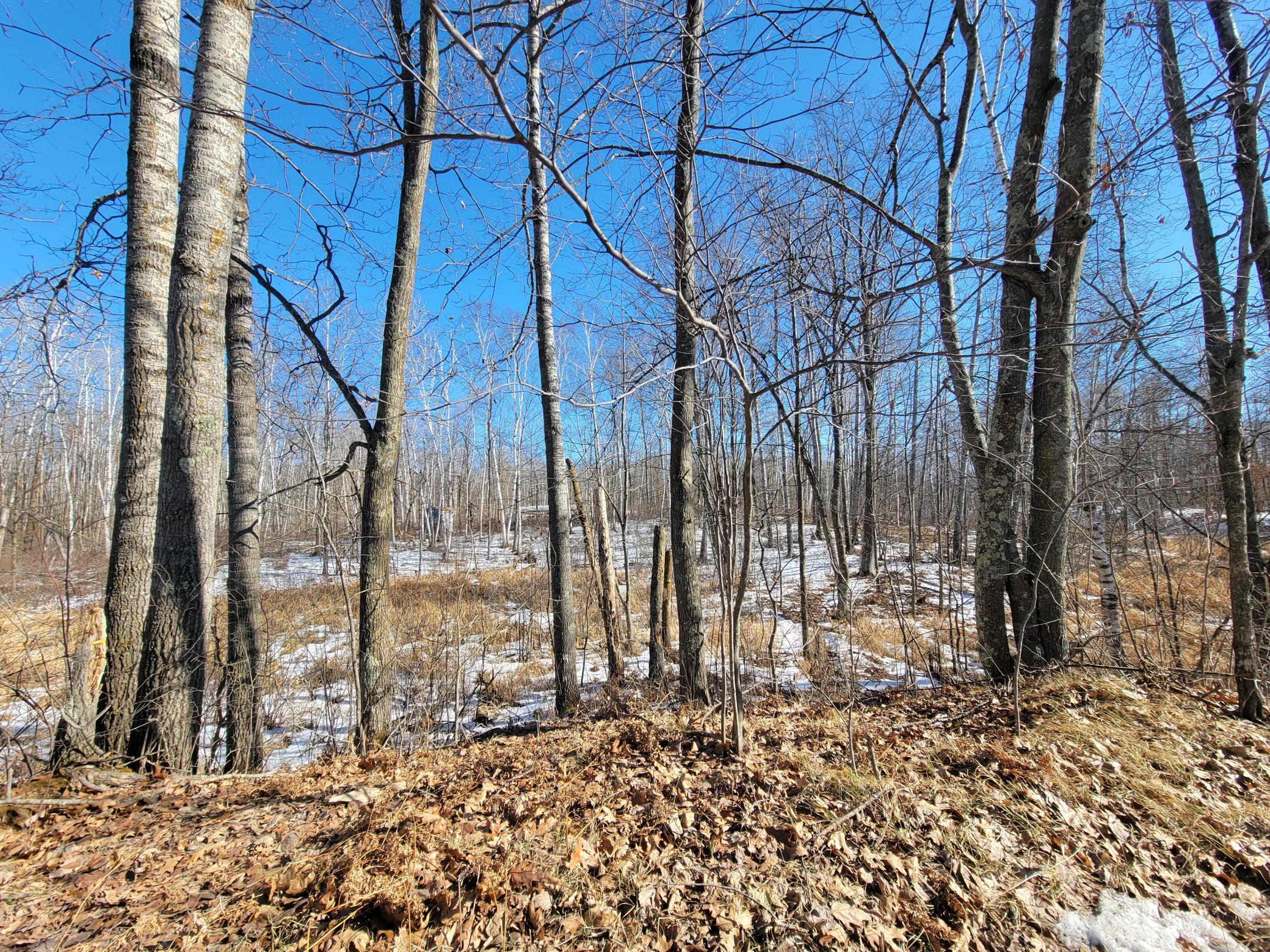 land for sale at TBD XXXX Meadow Lake Road SW in Motley, MN (photo 5 of 13)