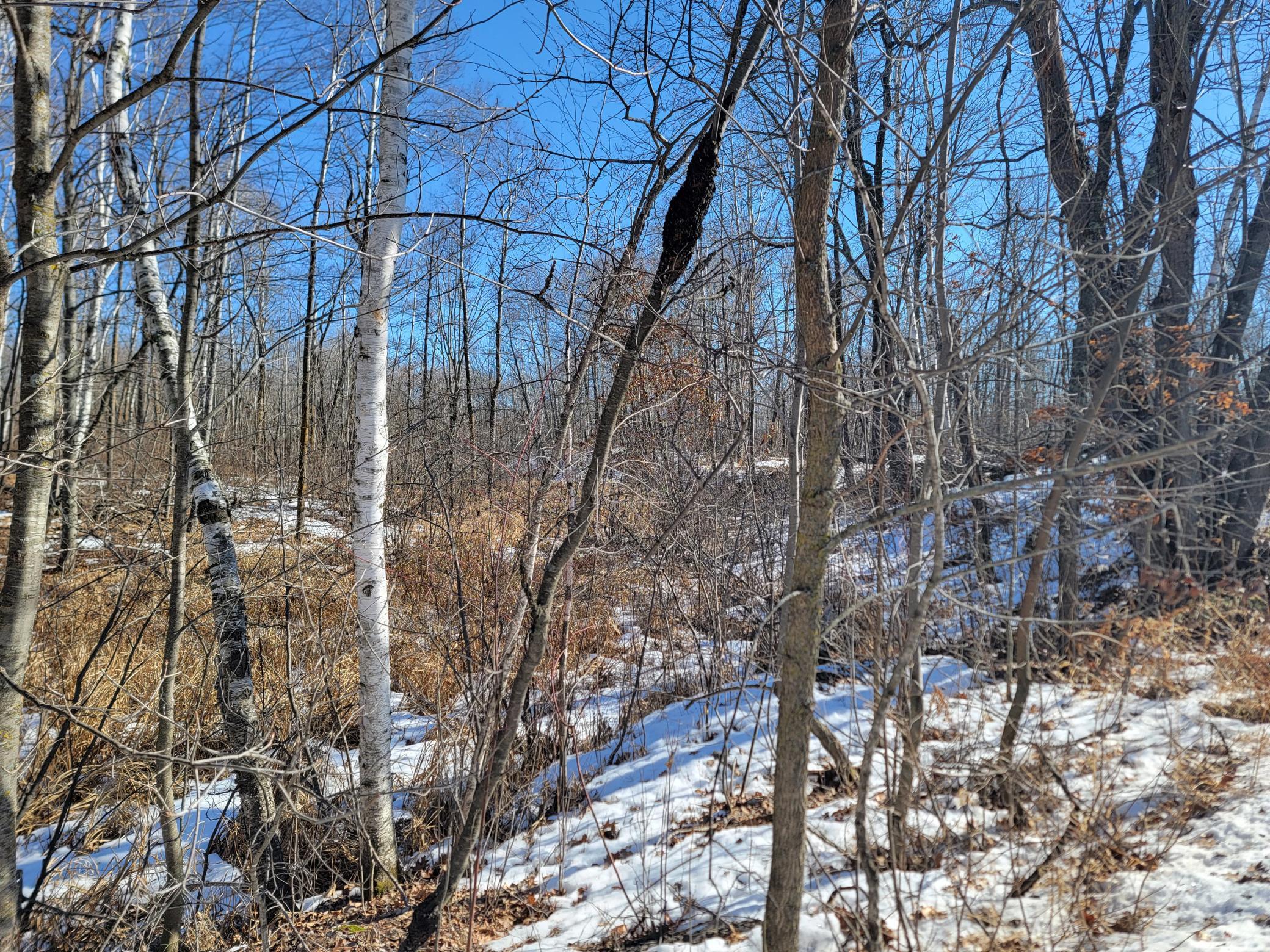 land for sale at TBD XXXX Meadow Lake Road SW in Motley, MN (photo 8 of 13)