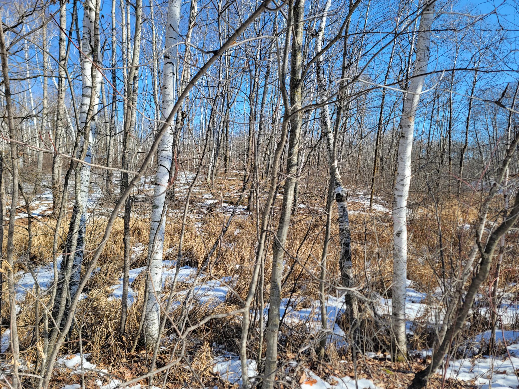 land for sale at TBD XXXX Meadow Lake Road SW in Motley, MN (photo 9 of 13)