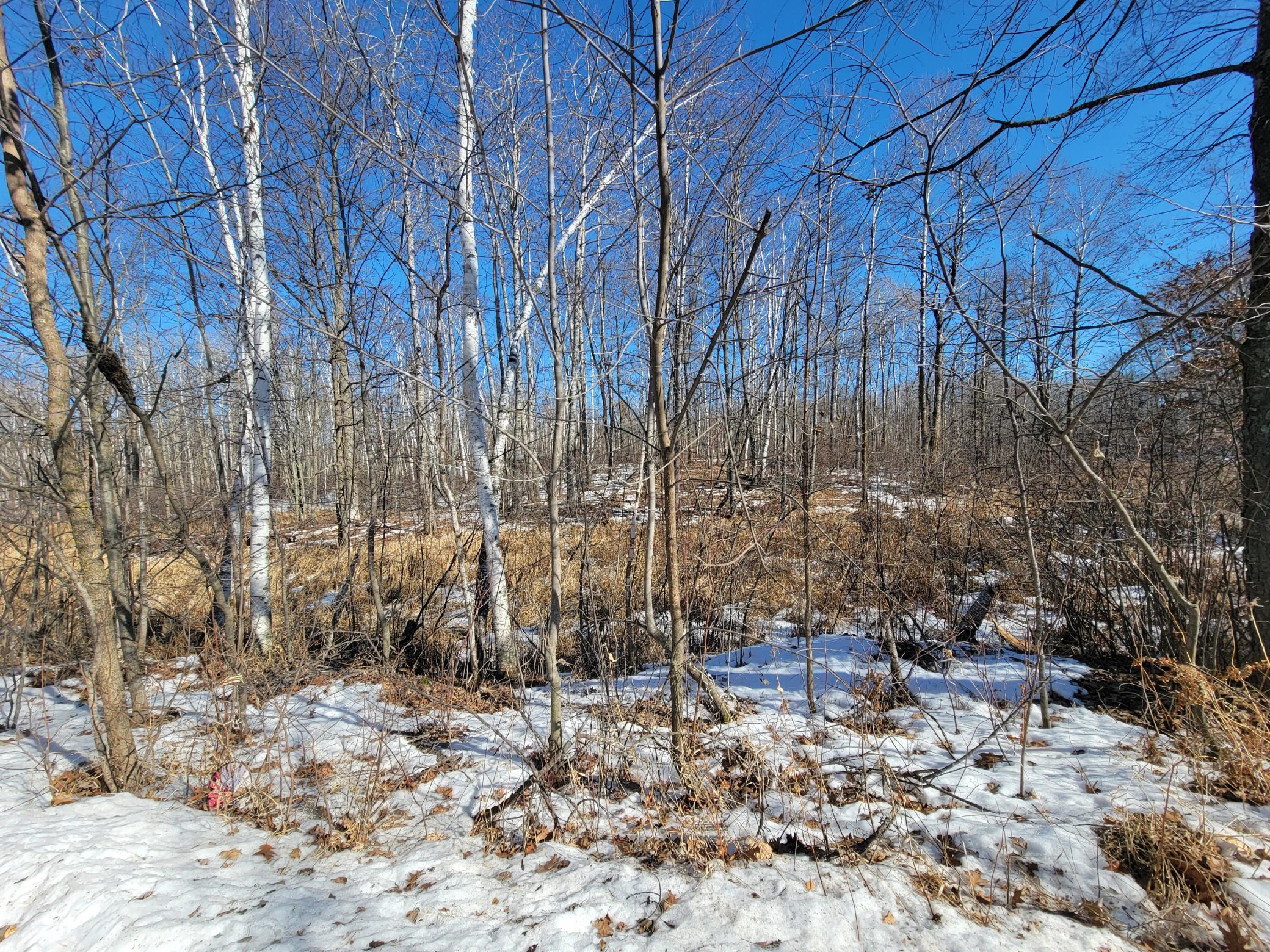 land for sale at TBD XXXX Meadow Lake Road SW in Motley, MN (photo 10 of 13)