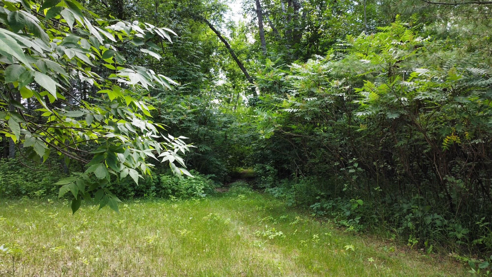land for sale at TBD W 2nd Street in Pillager, MN (photo 12 of 20)