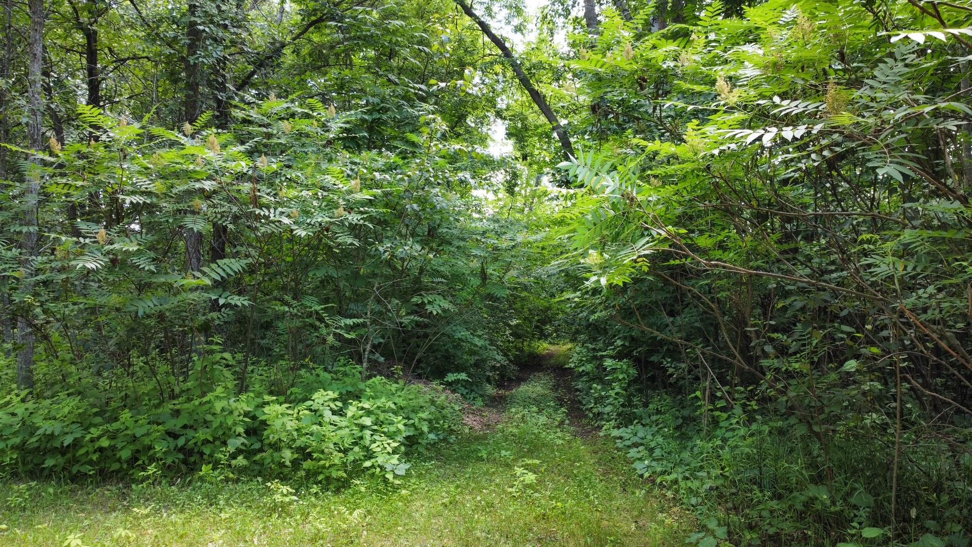 land for sale at TBD W 2nd Street in Pillager, MN (photo 13 of 20)