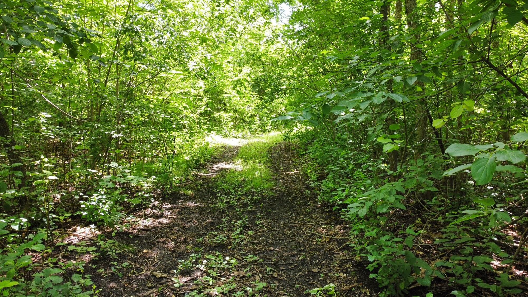 land for sale at TBD W 2nd Street in Pillager, MN (photo 14 of 20)